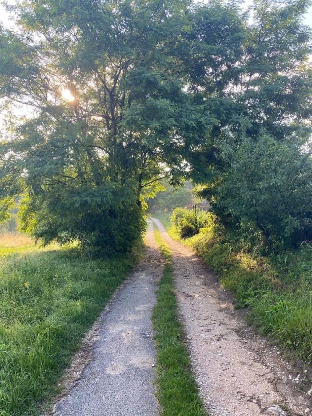 Forrás Vendégház Bakonyjákó – Bakonyjákó, Ungaria
