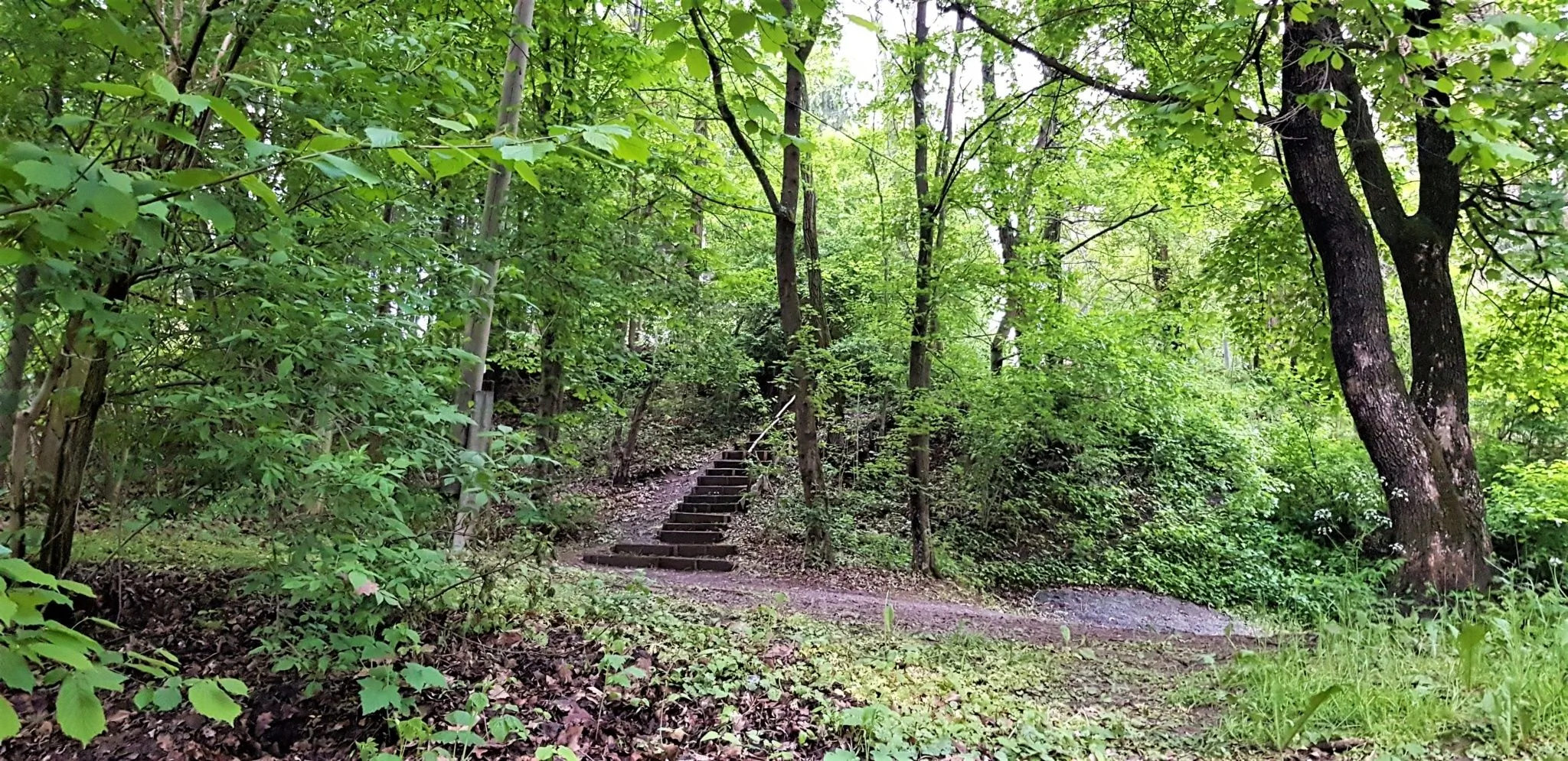 Muskátli Üdülőház Parádfürdő – Parád, Ungaria