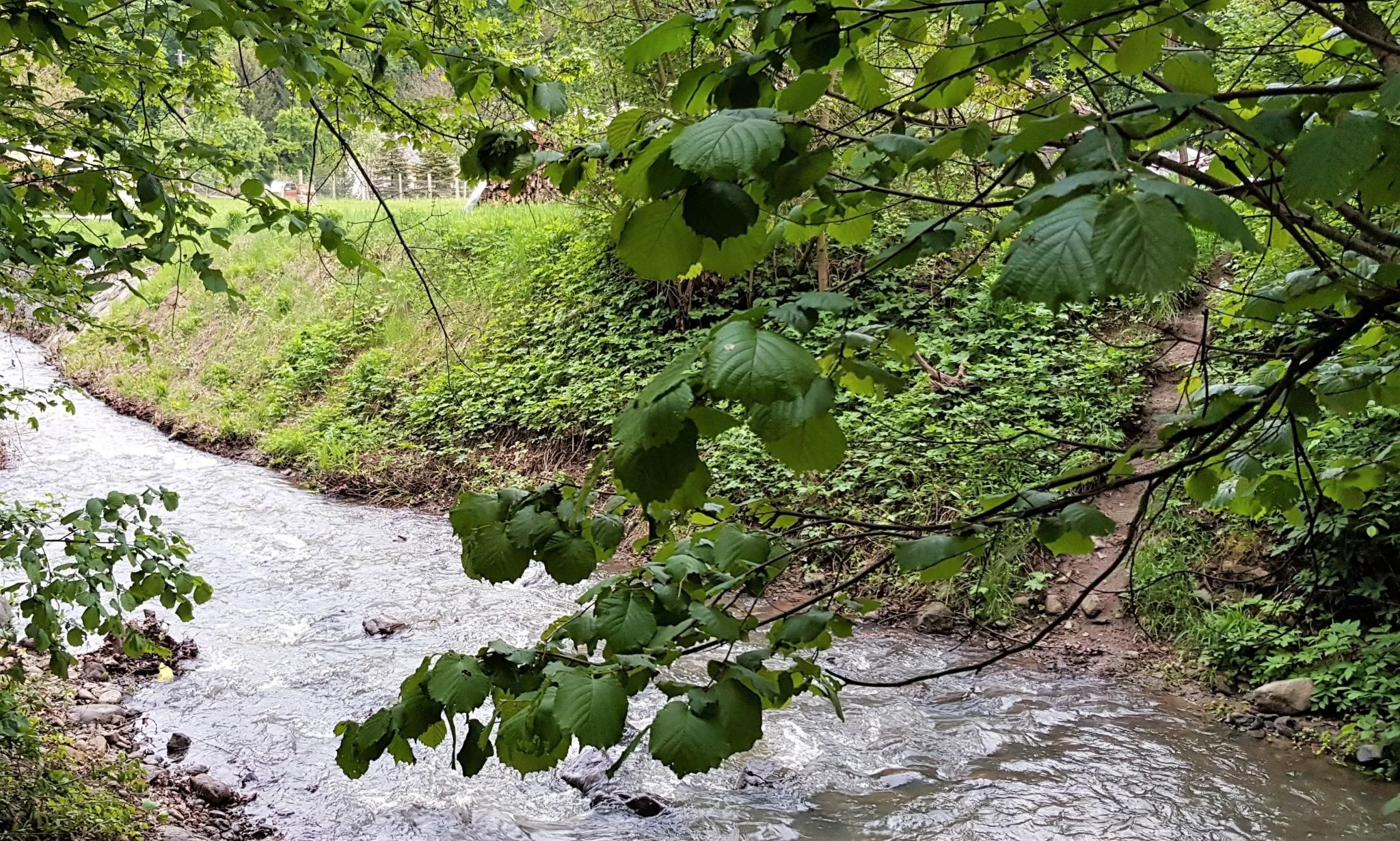 Muskátli Üdülőház Parádfürdő – Parád, Ungaria