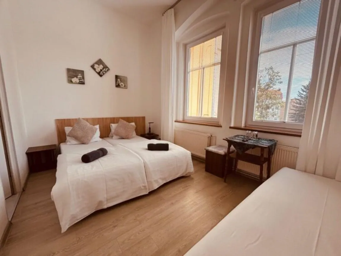Hotel Egeria Cheb - foto 1