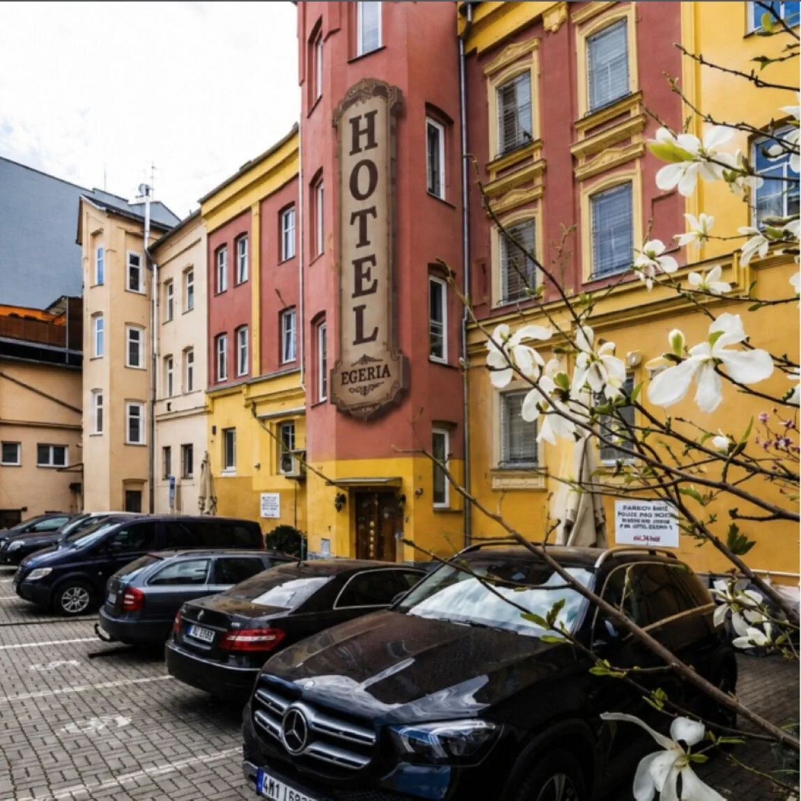 Hotel Egeria Cheb - foto 5