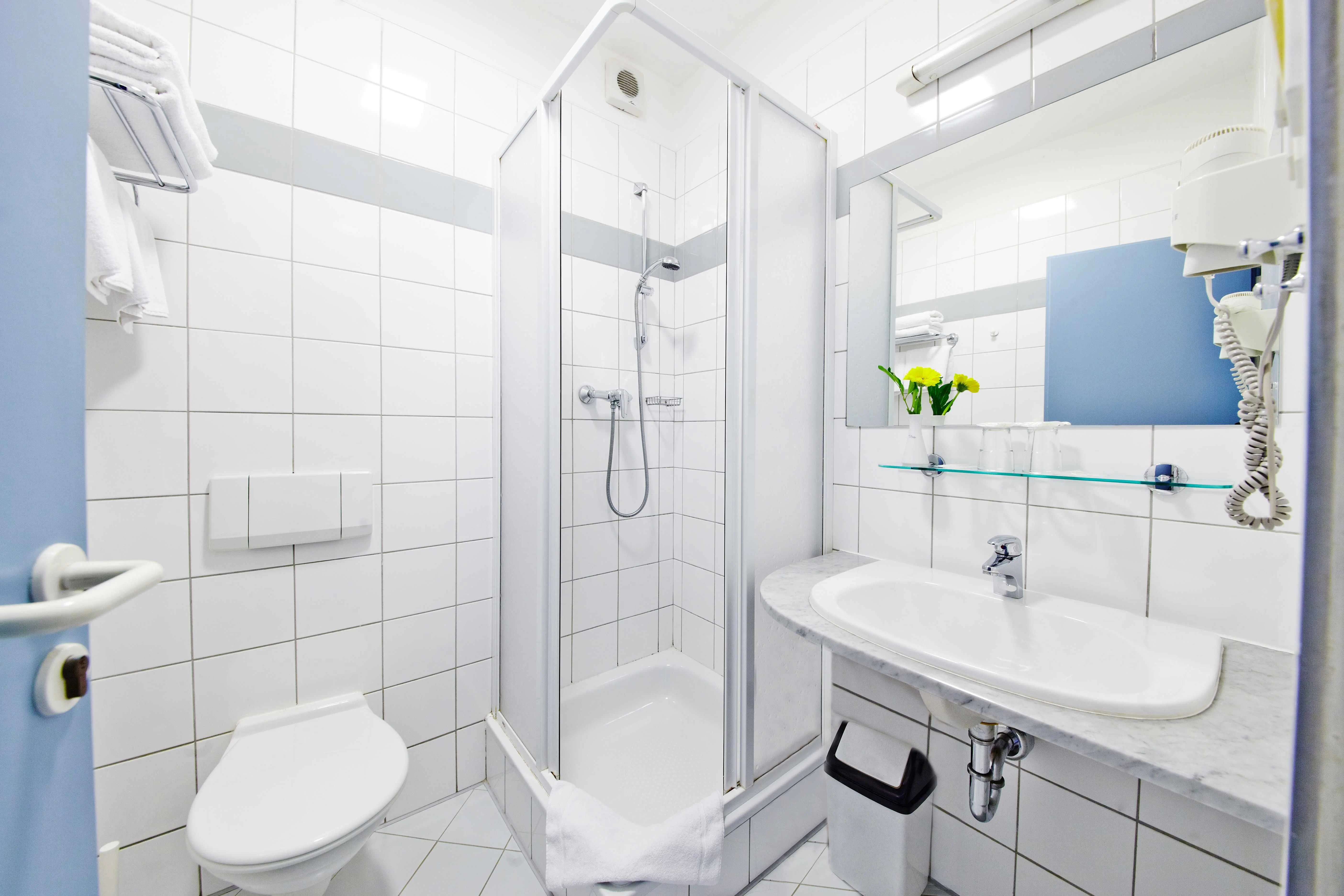 HOTEL TULIPÁN Průhonice - foto 7