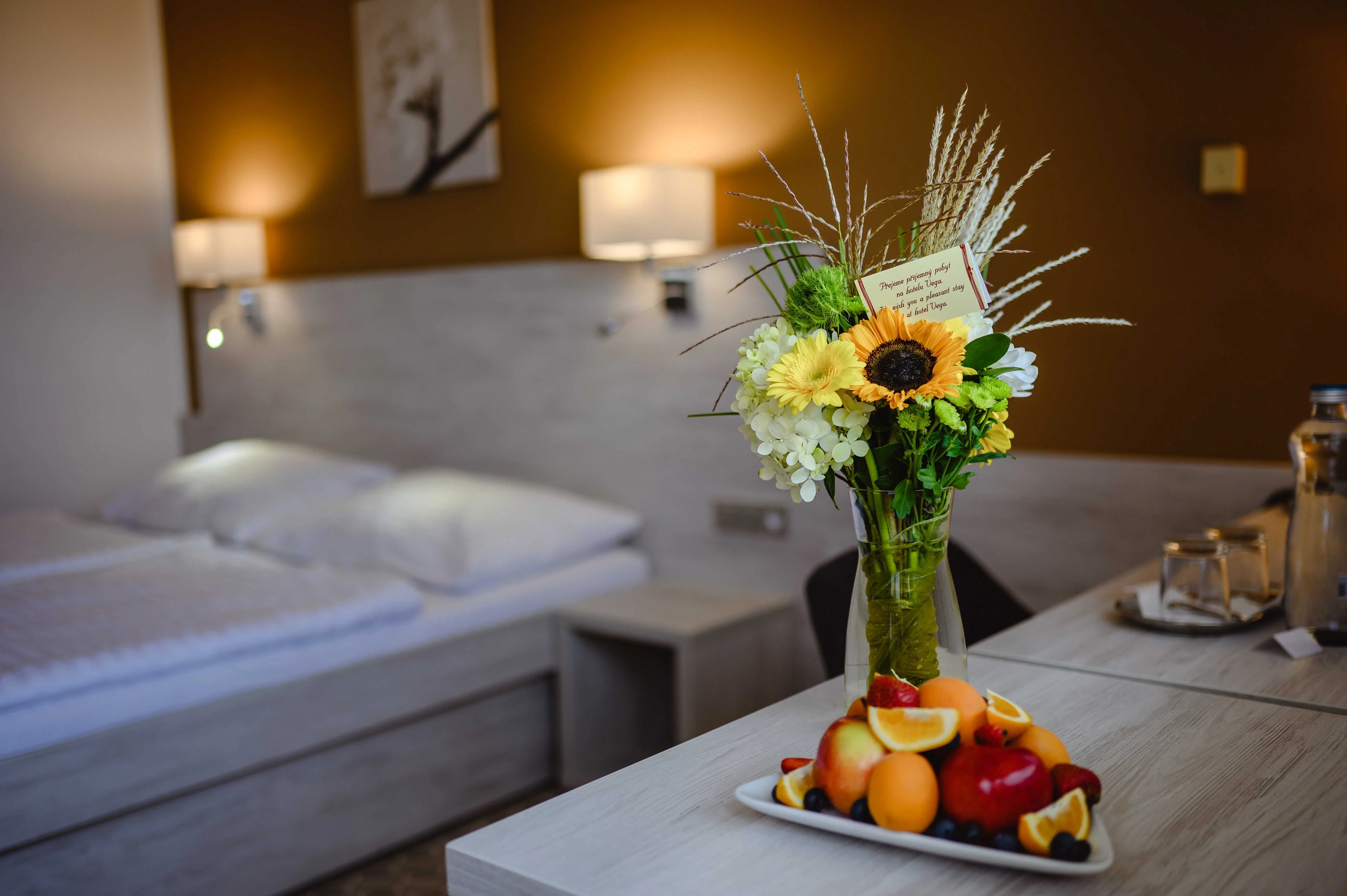 HOTEL VEGA Luhačovice – Luhačovice, Republica Cehă