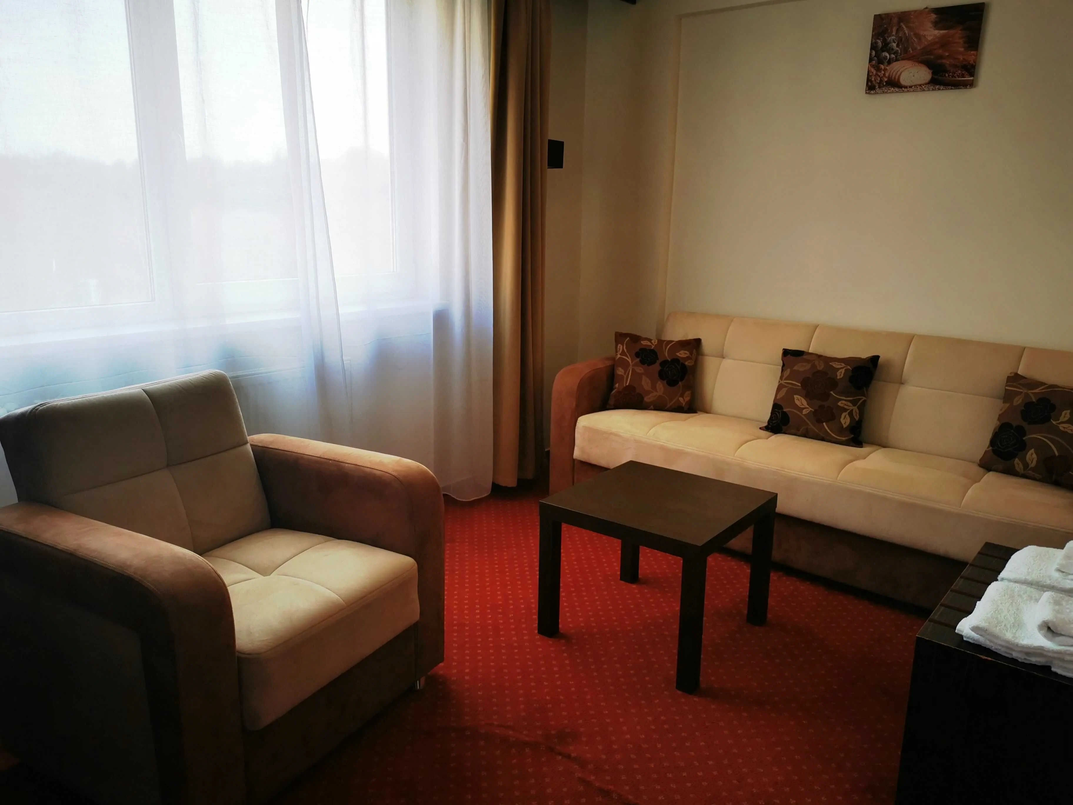 HOTEL LUDMILA Mělník - foto 8