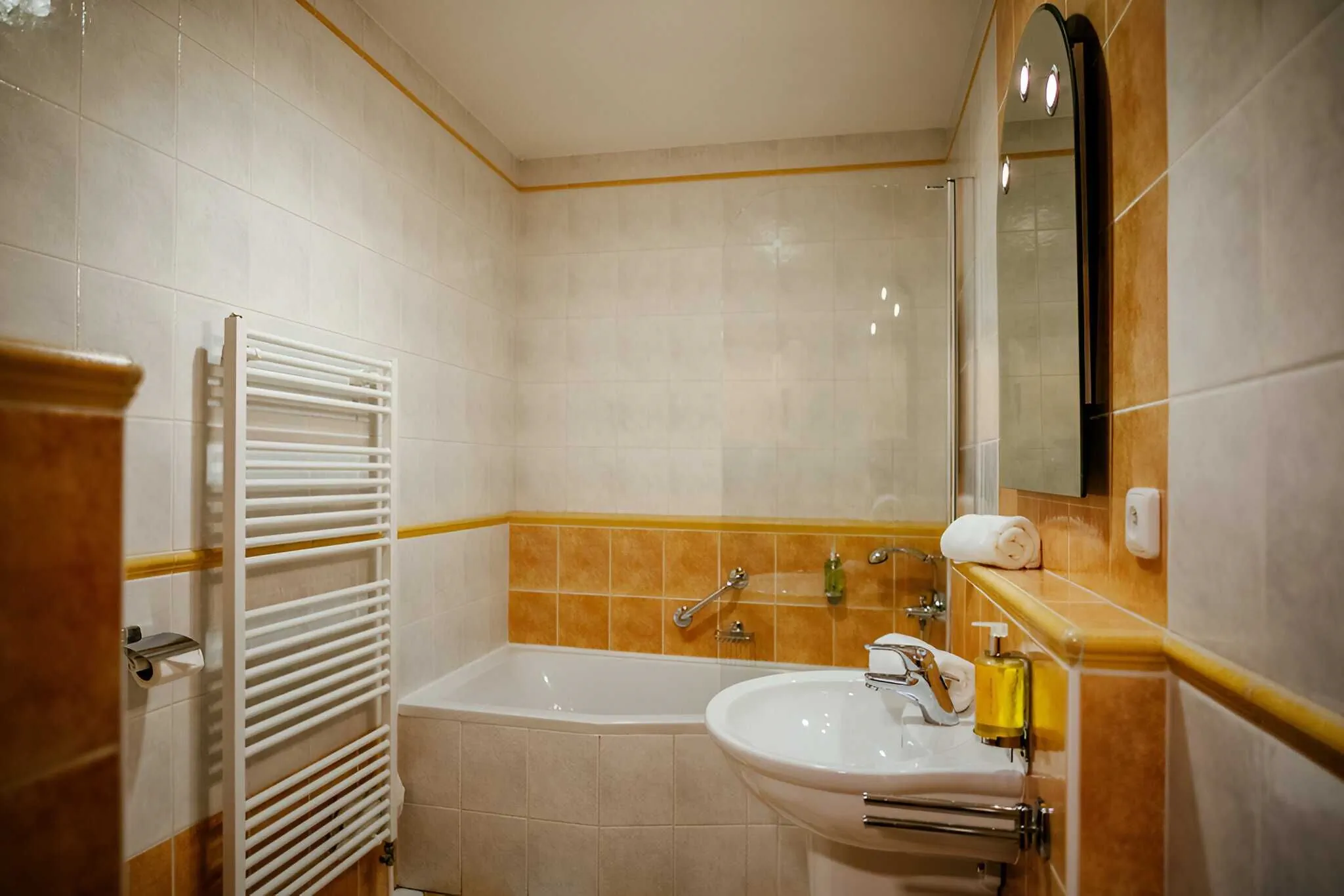 Hotel Akademie Velké Bílovice - foto 3