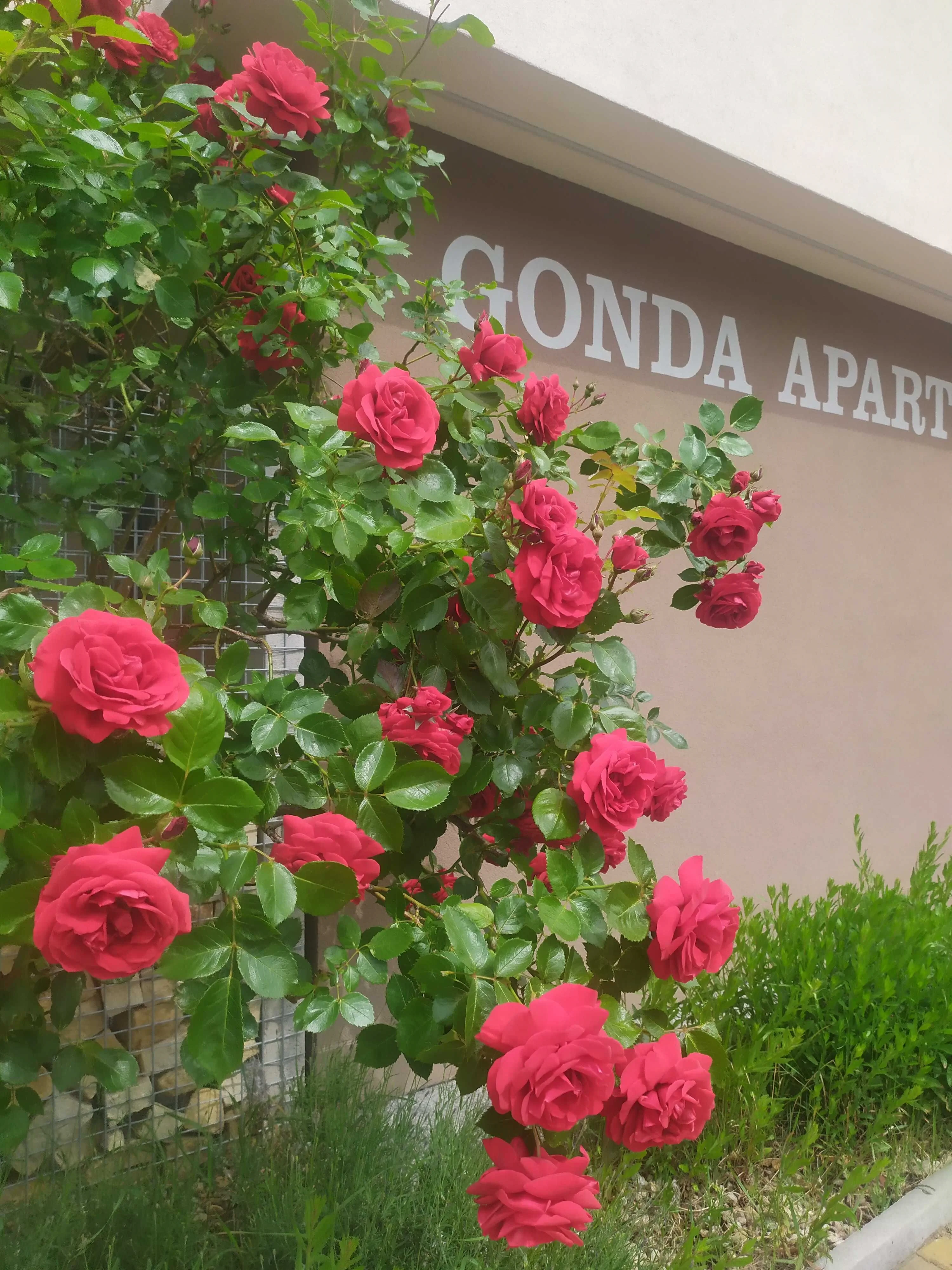 Gonda Apartments Hradec Králové – Hradec Králové, Česká republika