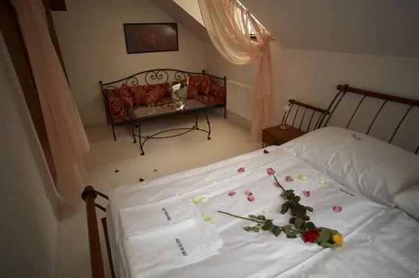 Pension Konopiště Benešov - foto 4