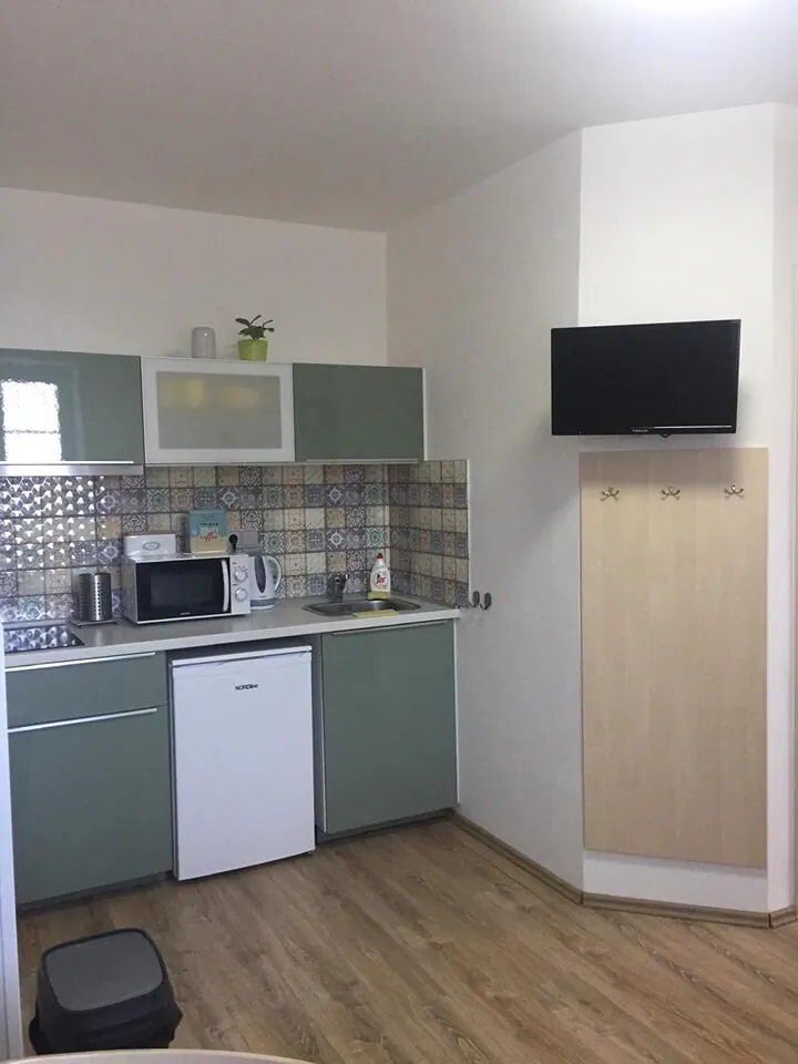 Vila Hořičky - foto 10