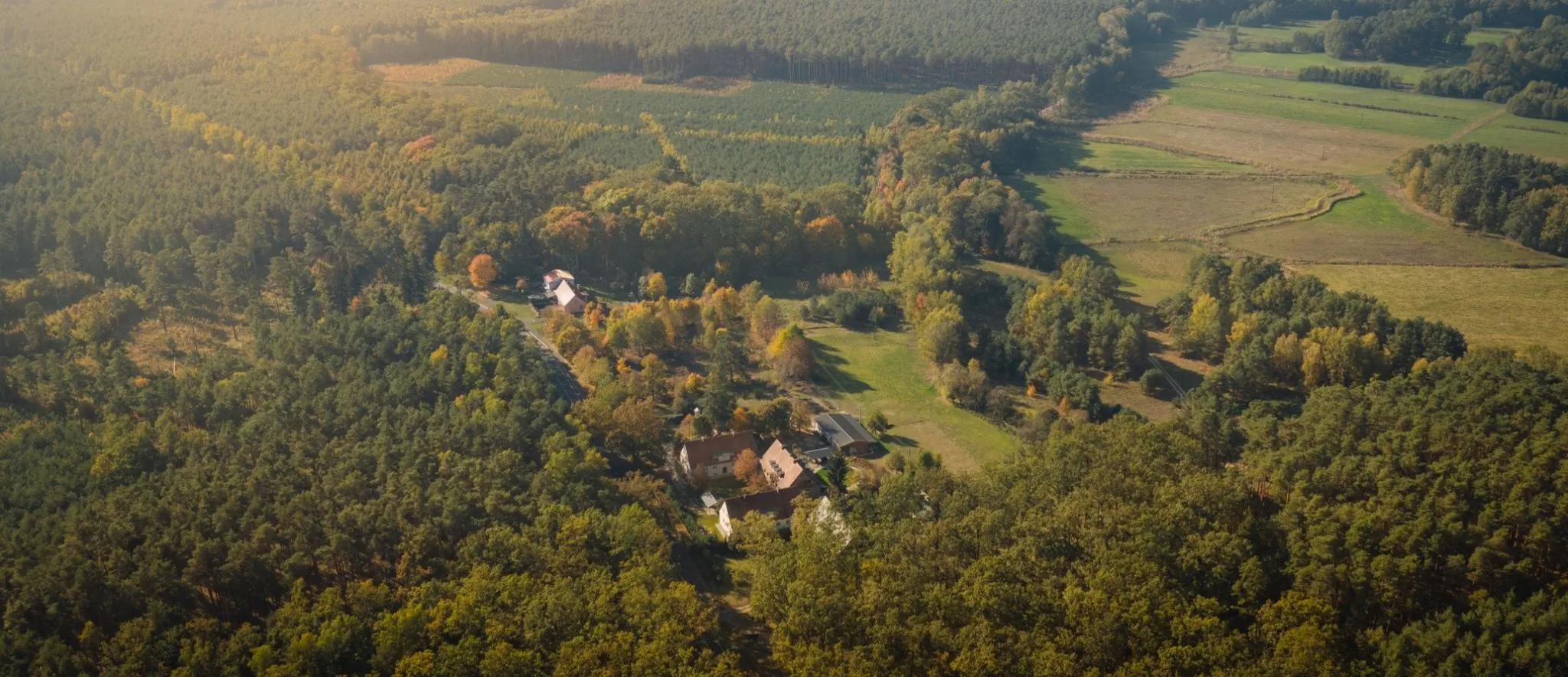 Noclegi Leśniki Babimost – Babimost, Polonia