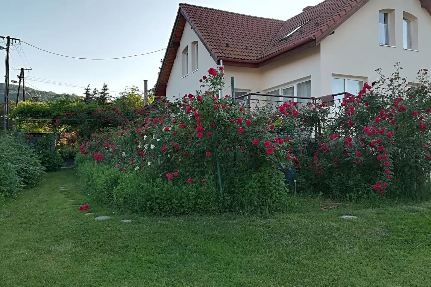 Villavölgy Vendégház Dömös - foto 5