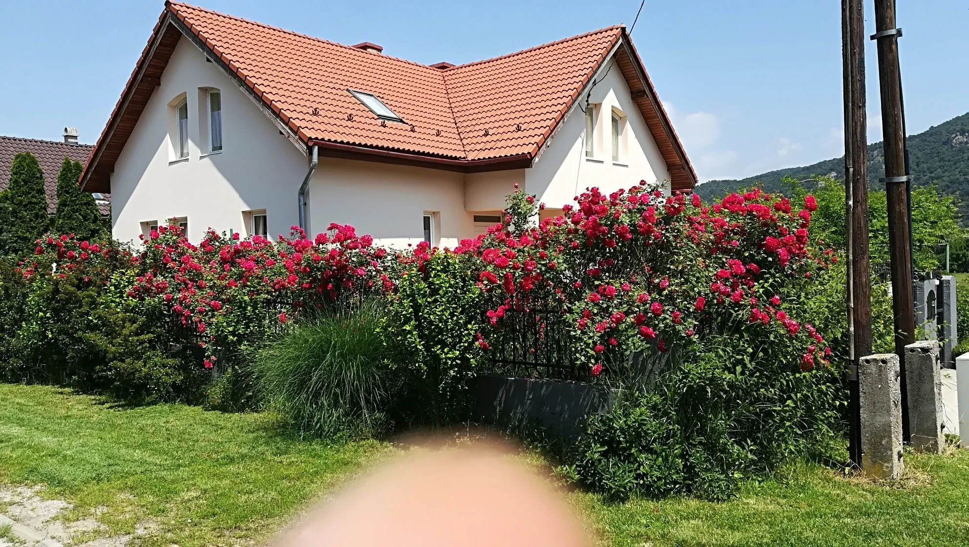 Villavölgy Vendégház Dömös - foto 6
