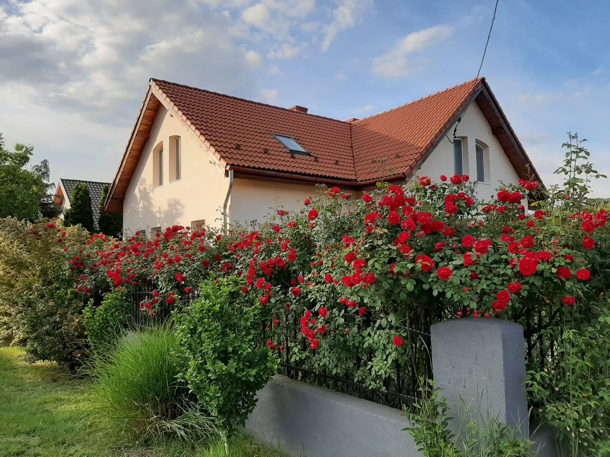 Villavölgy Vendégház Dömös - foto 3