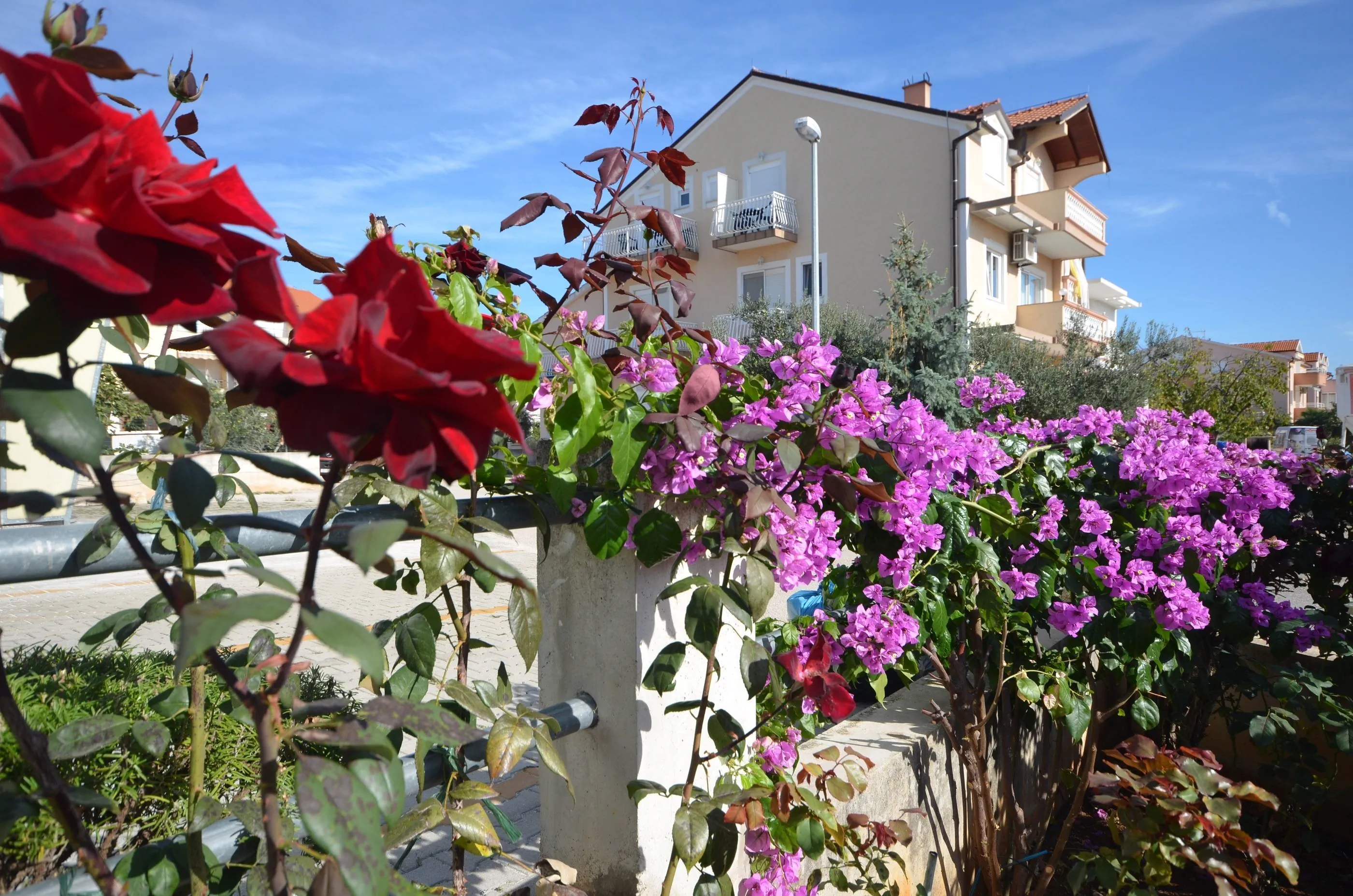 Apartments Mara Vodice - foto 4