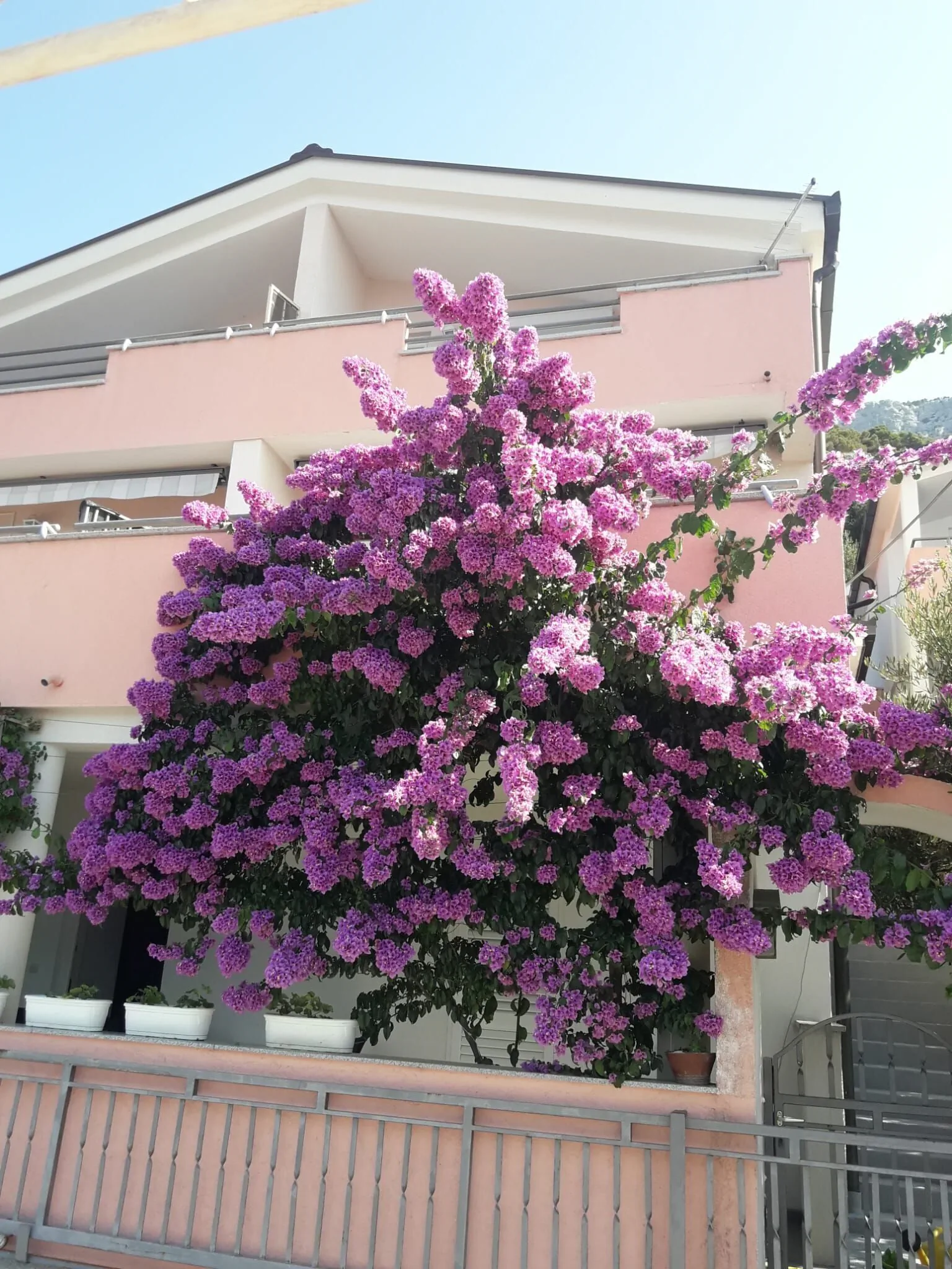 Apartments Galic Pisak – Pisak, Chorwacja