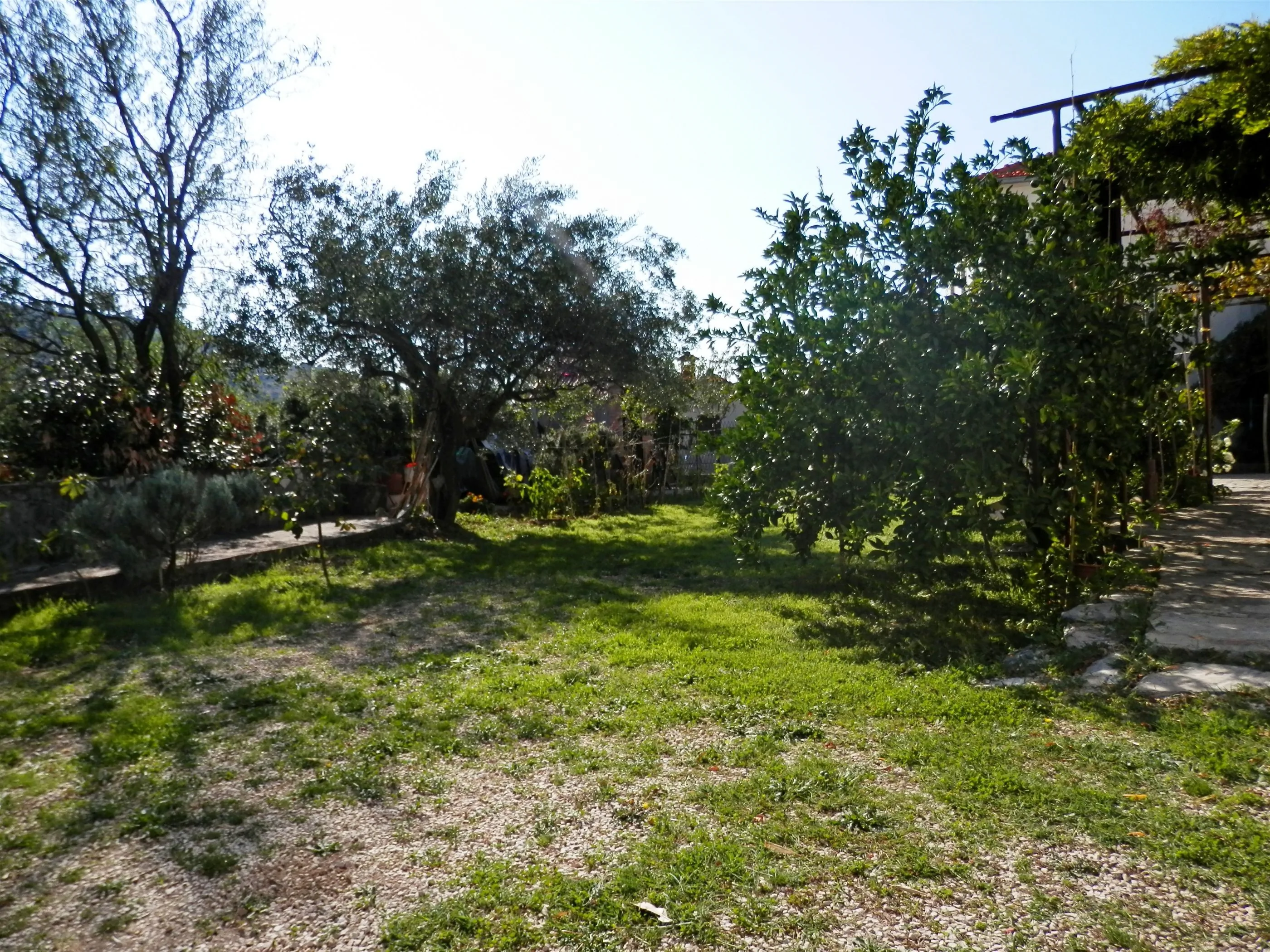 Apartments Zuljevic Rogoznica - foto 4
