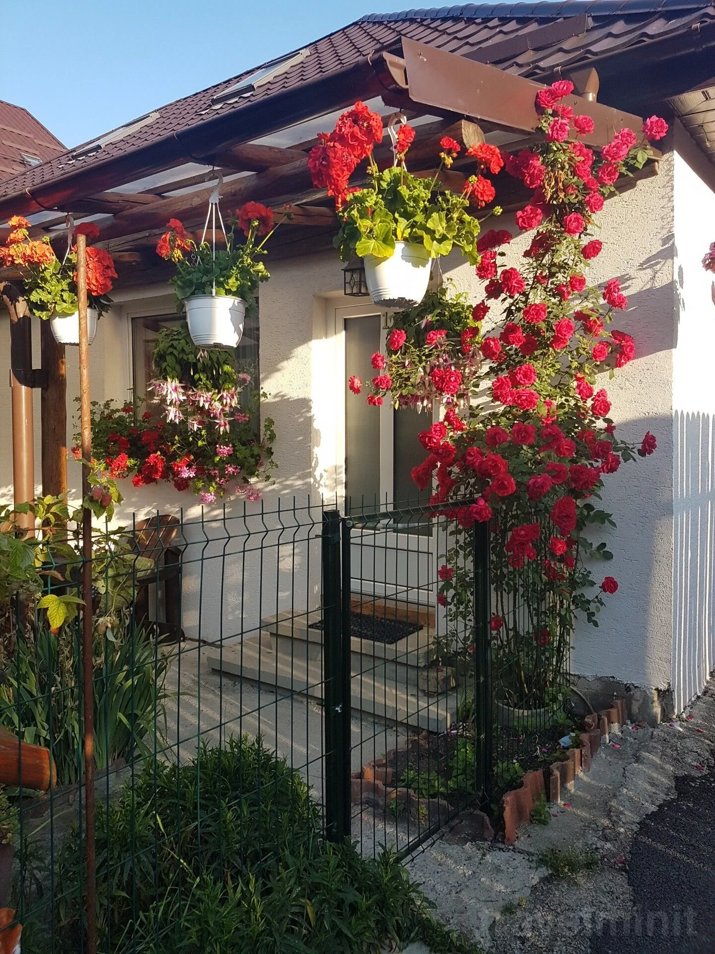Casa Farcaș Bușteni – Buşteni, România