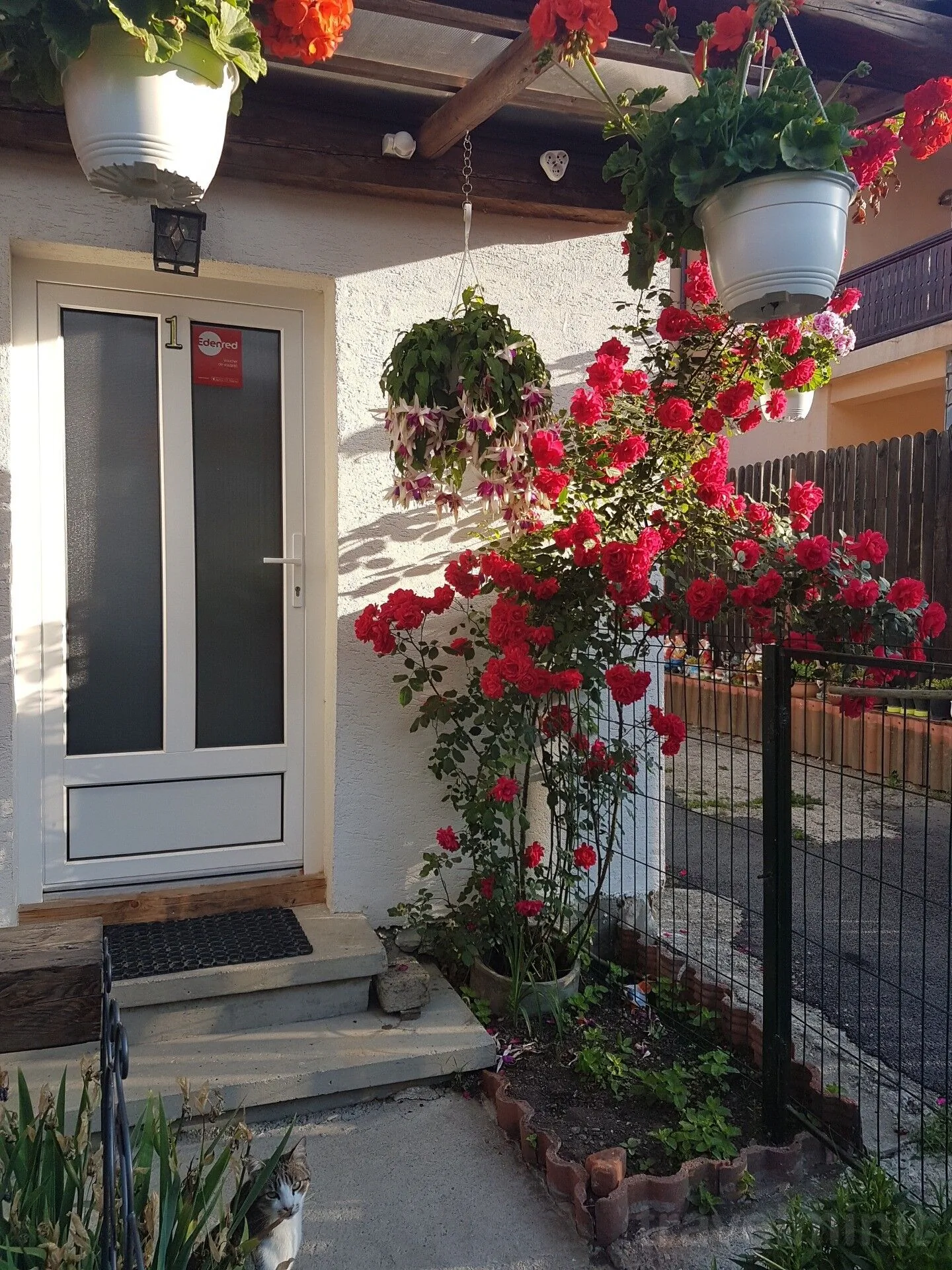 Casa Farcaș Bușteni – Buşteni, România