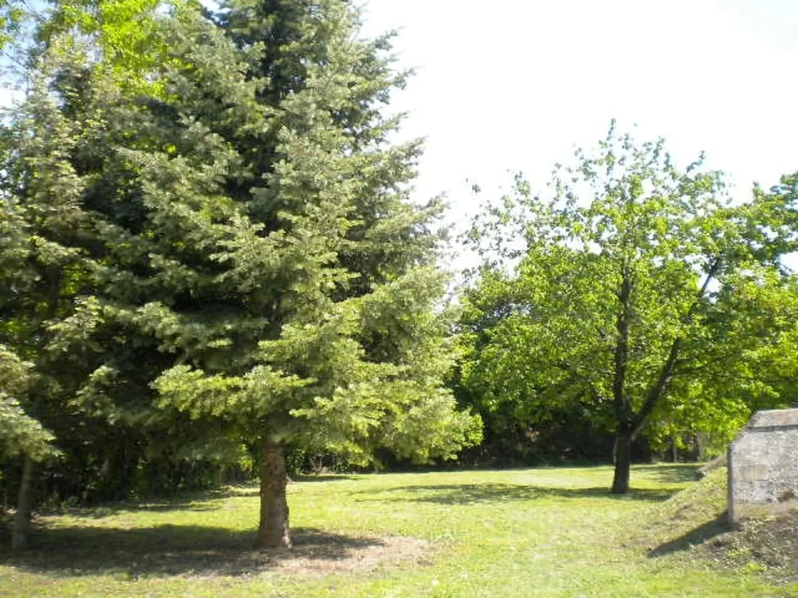 Vadrózsa Apartmanház Poroszló – Poroszló, Ungaria