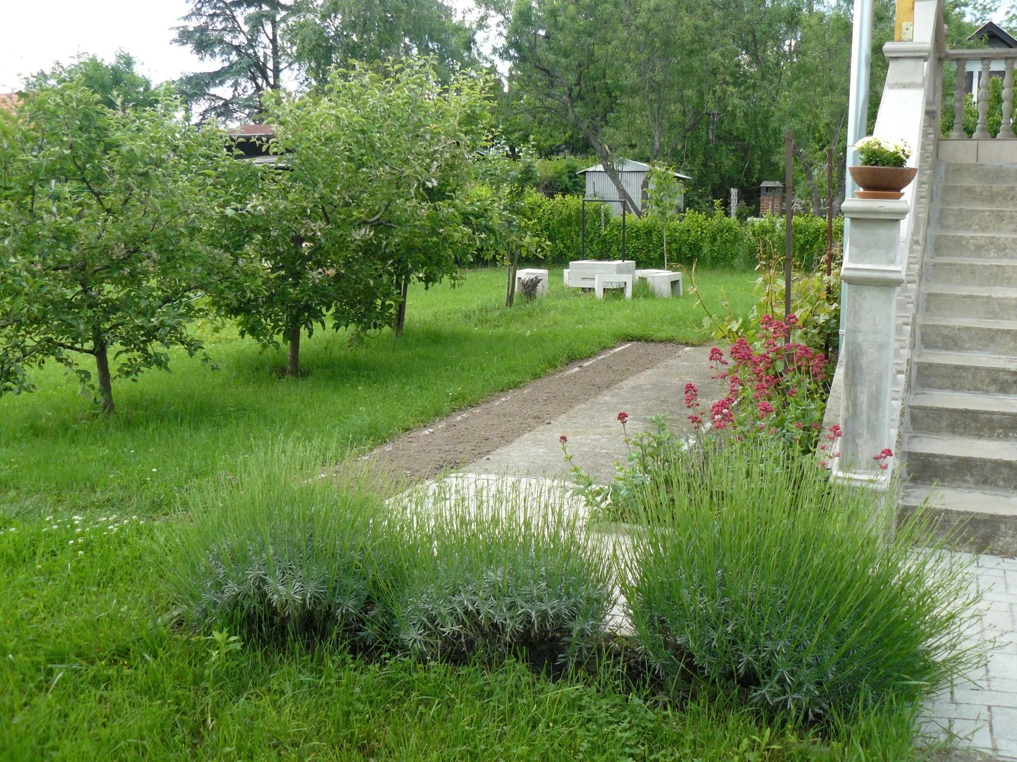 Margit Villa Vendégház Alsóörs - foto 3