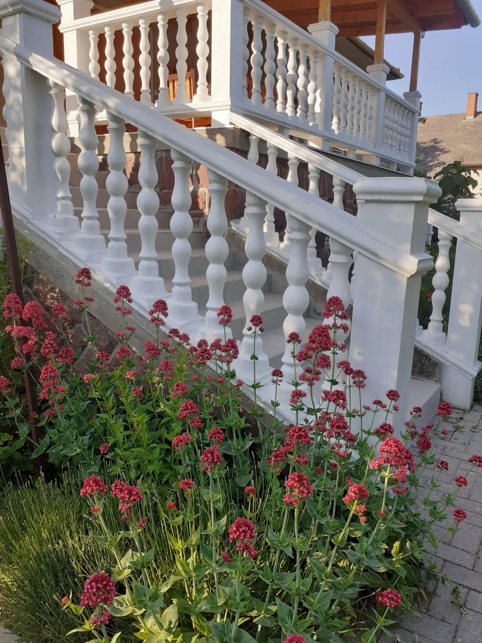Margit Villa Vendégház Alsóörs - foto 5