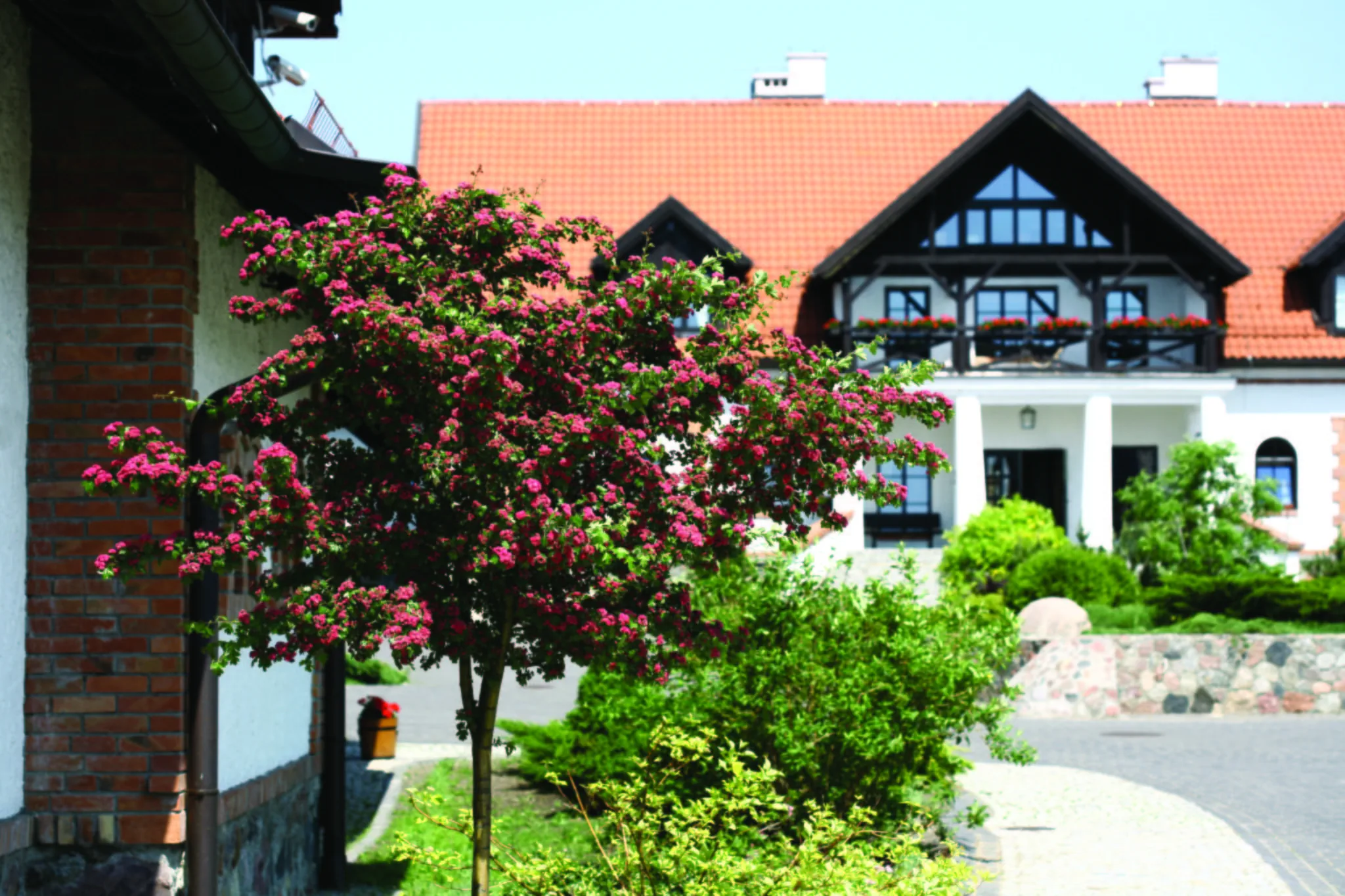 Siedlisko Morena Stare Juchy – Stare Juchy, Polonia