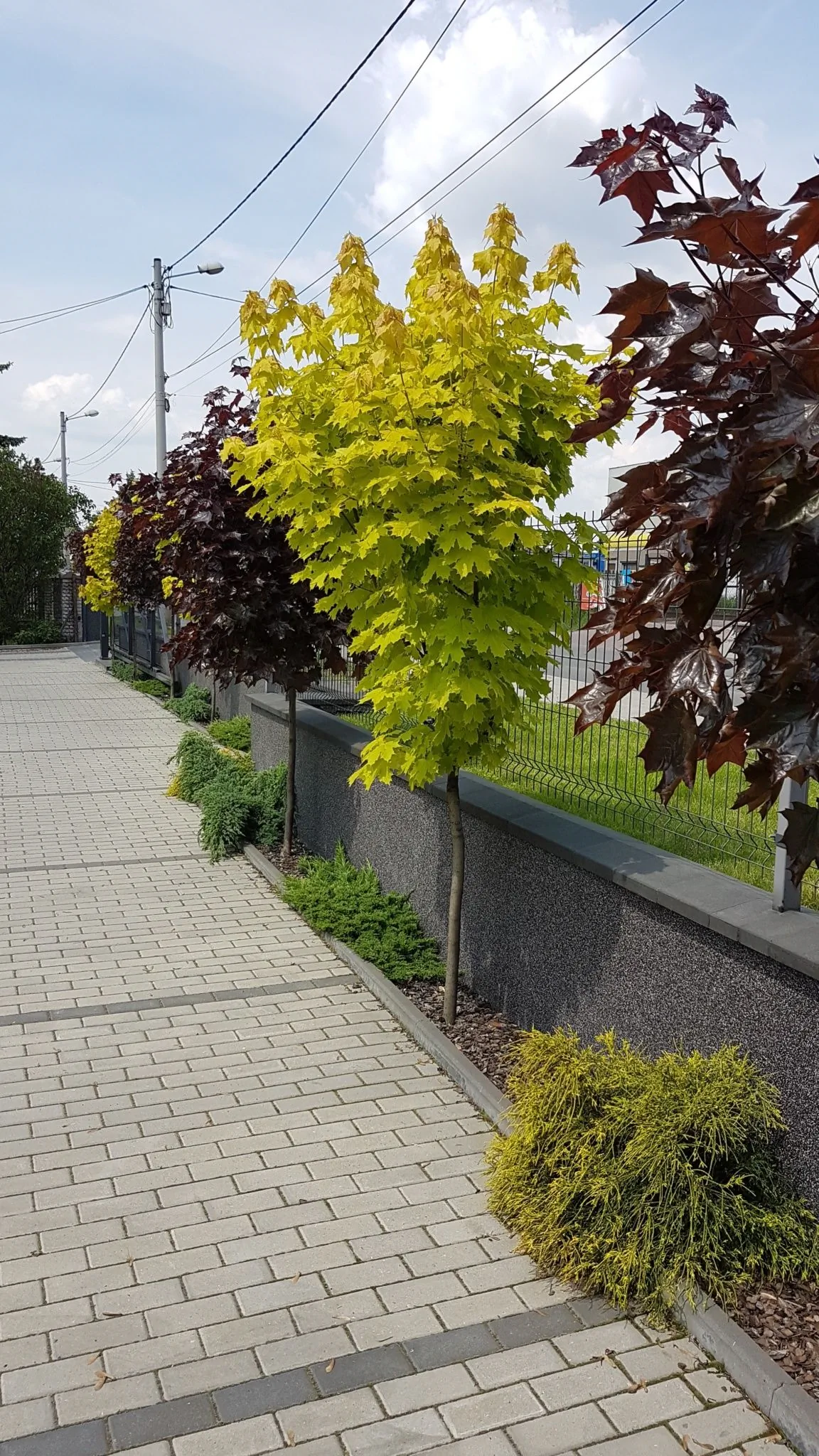 Apartament Angelo Sosnowiec – Sosnowiec, Polonia