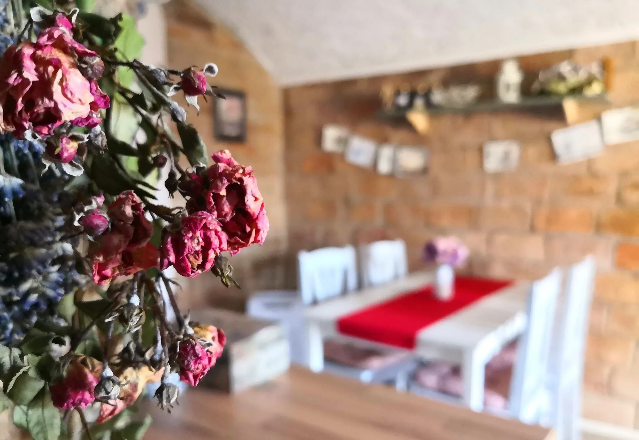 Kakukkfű Barlang Vendégház Noszvaj – Noszvaj, Ungaria