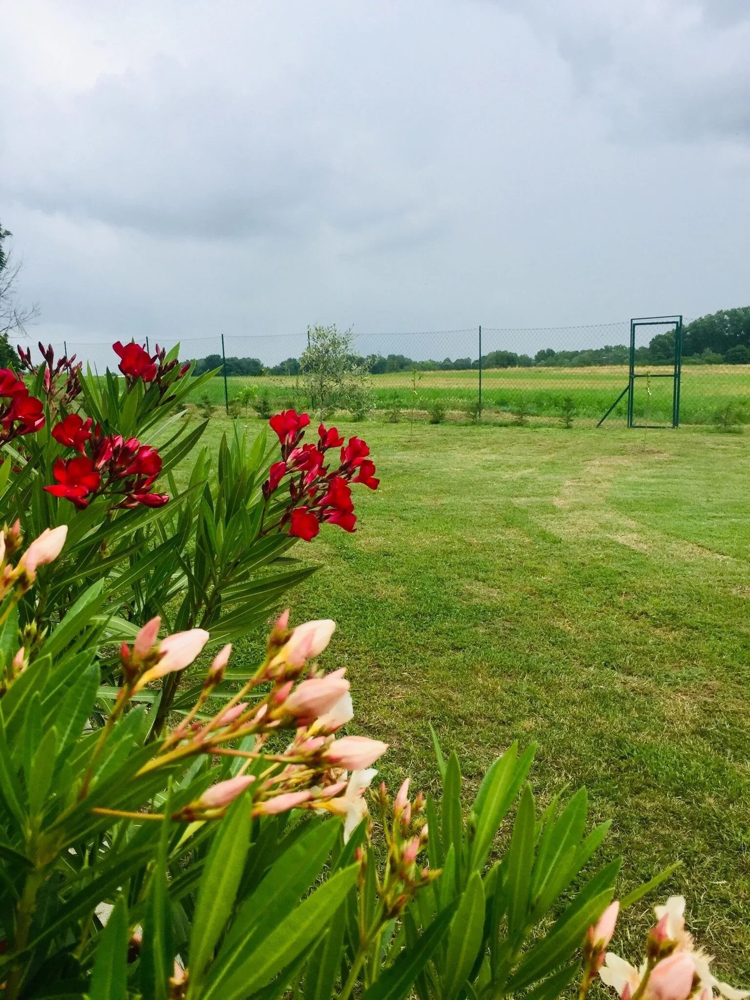 Summerside Apartman Harkány – Harkány, Ungaria