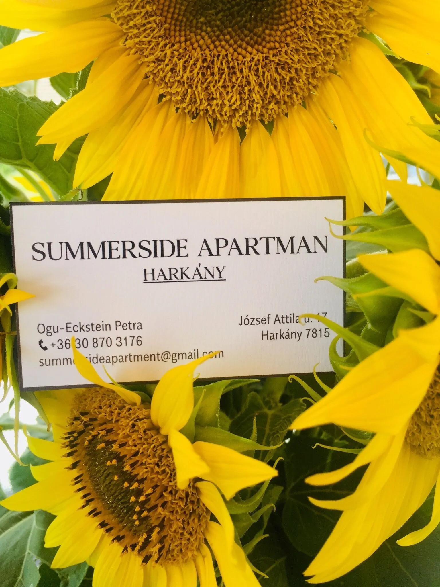Summerside Apartman Harkány – Harkány, Ungaria