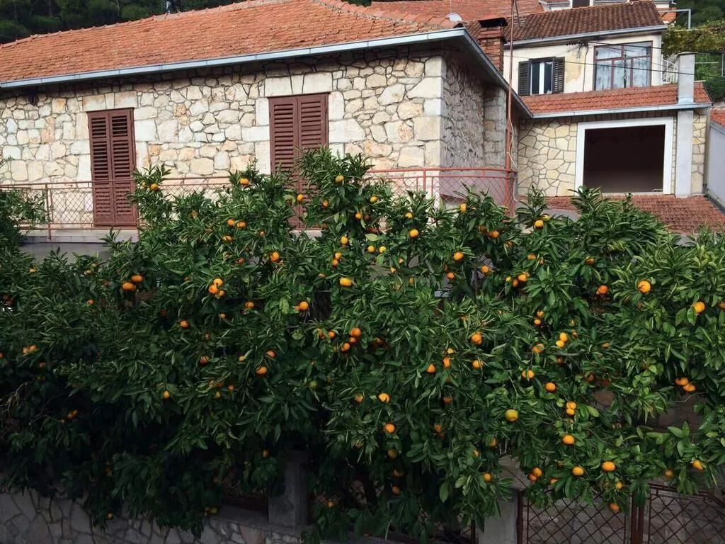 Holiday House With A Parking Space Svirče, Hvar - 17682 Svirče – Svirče, Croația