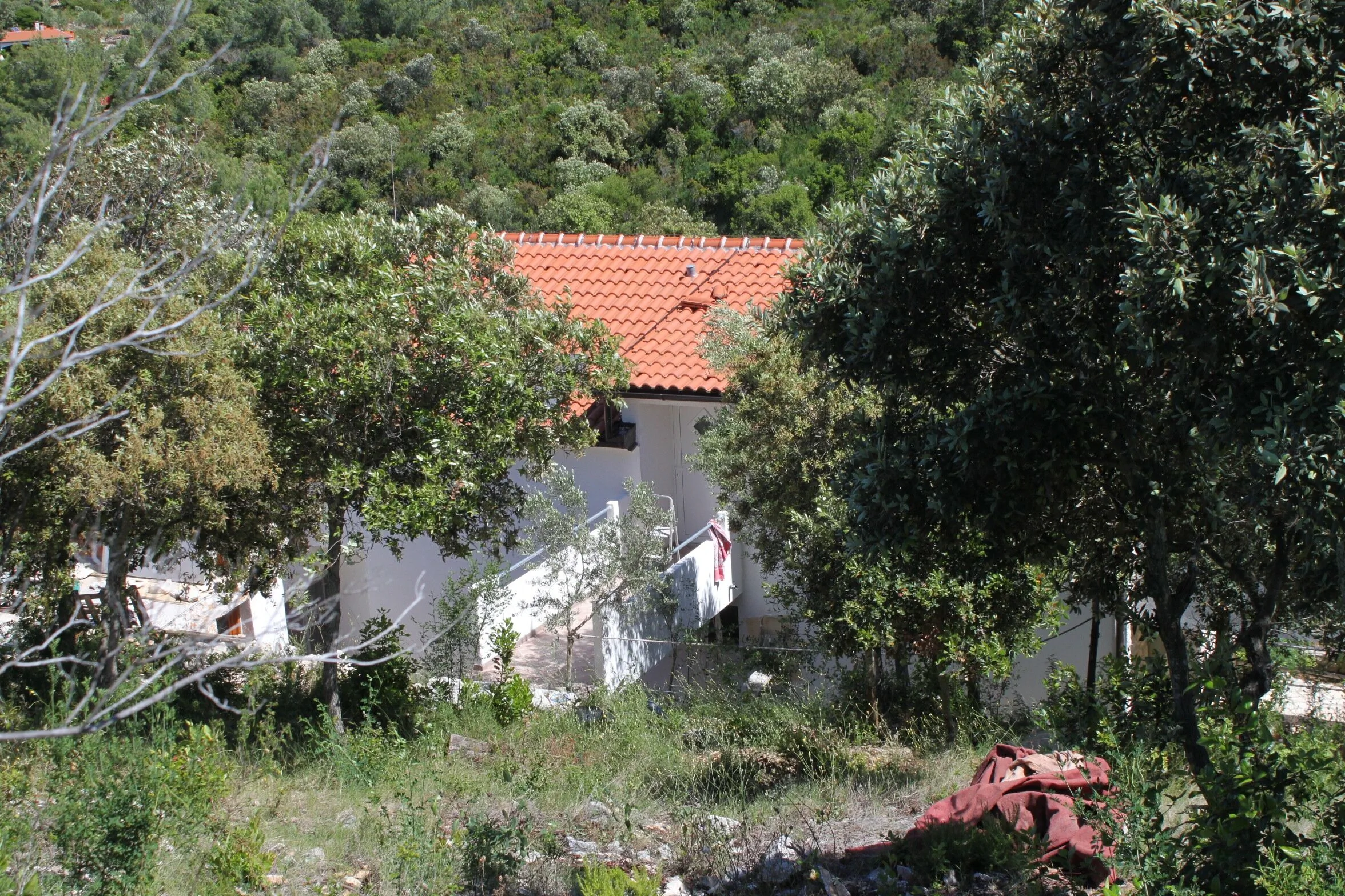 Seaside Secluded Apartments Cove Karkavac - Šćedro, Hvar - 8801 Karkavac - Šćedro - foto 6