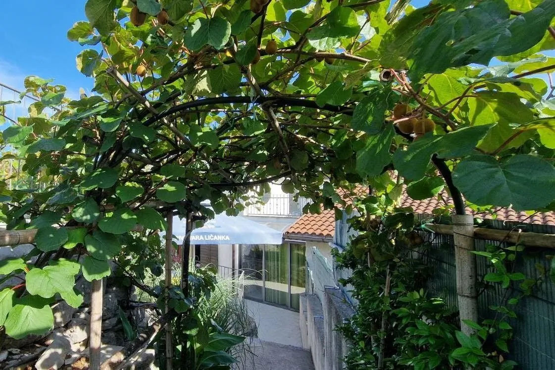 Family Friendly House With A Swimming Pool Ružići, Opatija - 16202 Ružići – Ružići, Croația