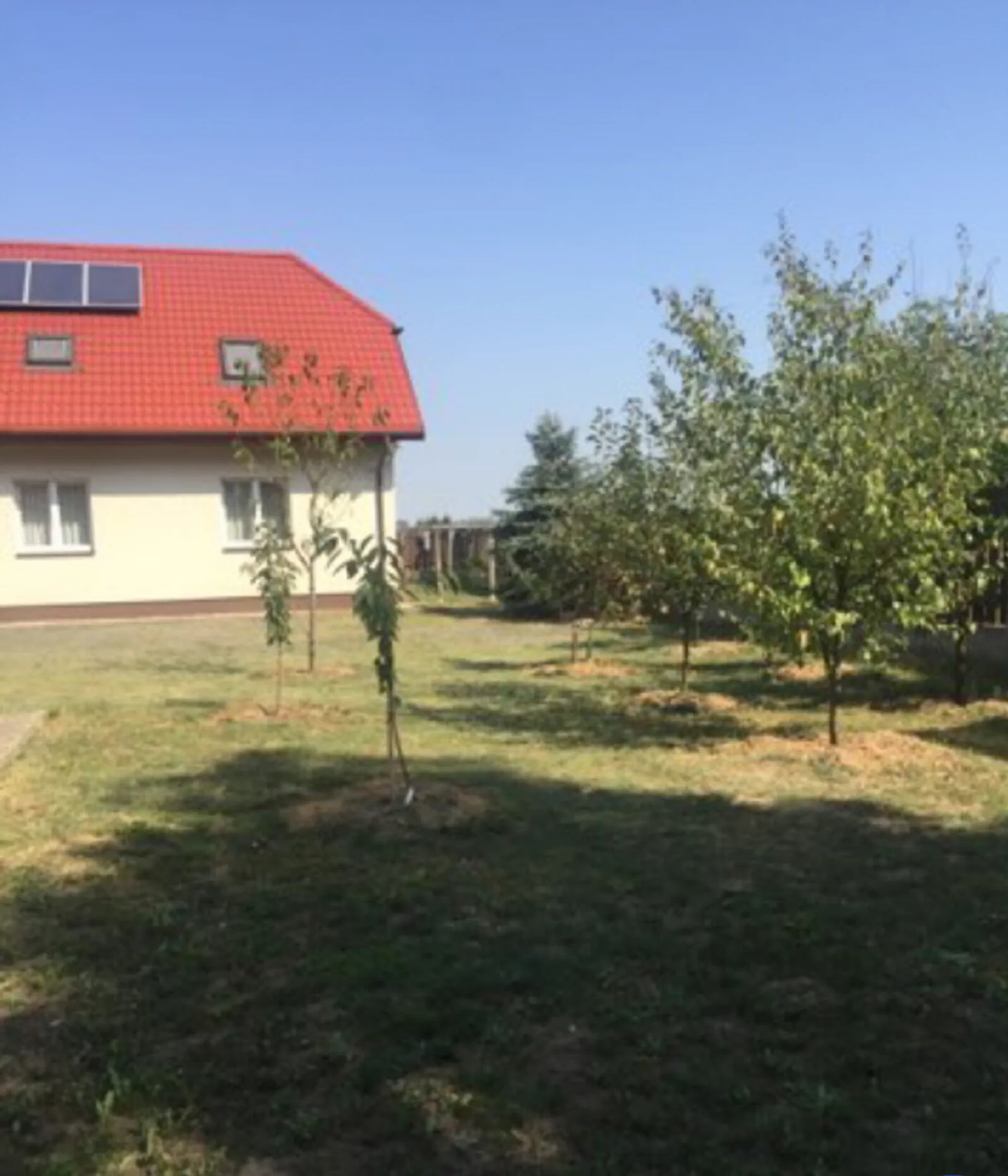 Noclegi Oaza Rozalin – Rozalin, Polonia