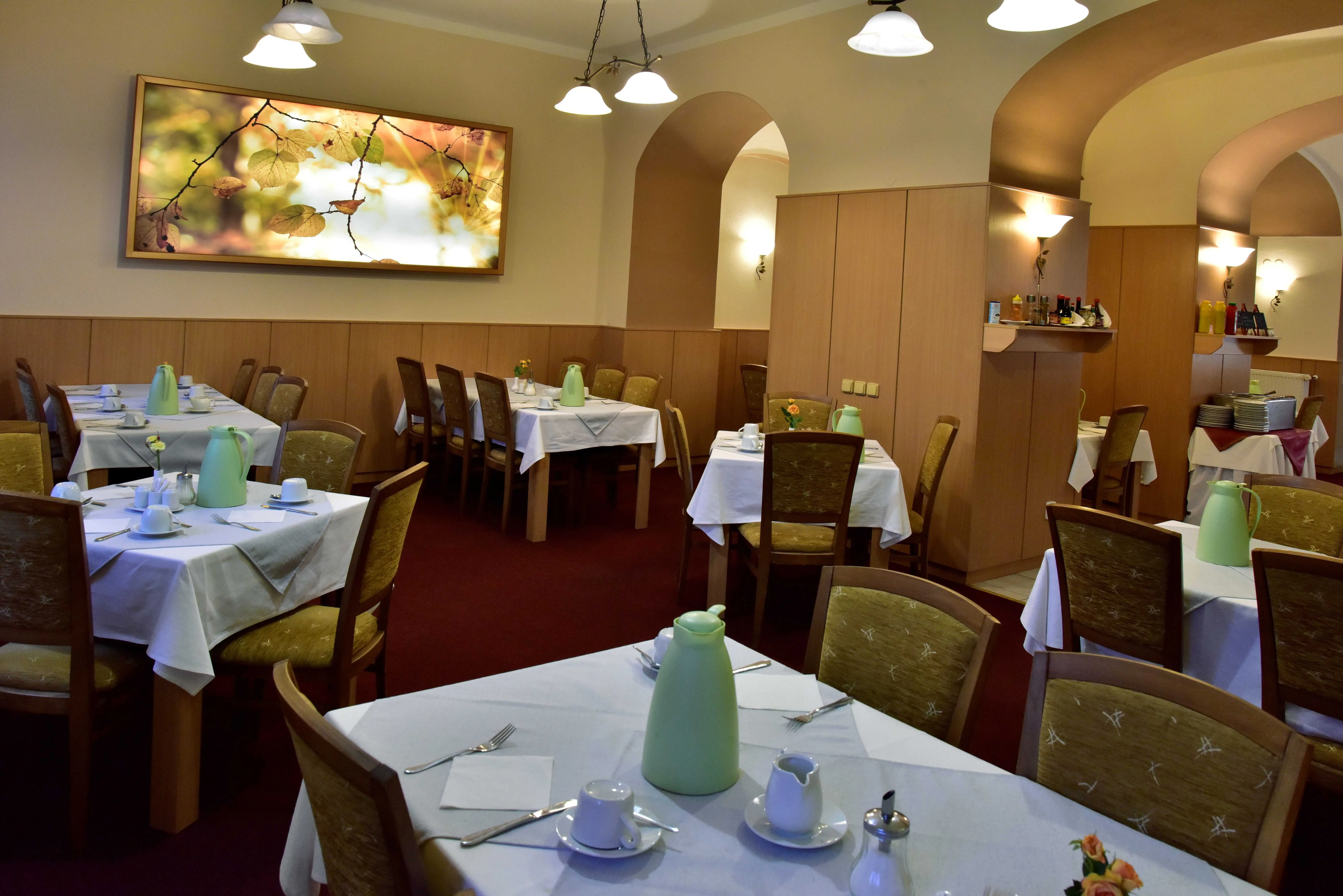 Hotel Paris Mariánské Lázně - foto 10