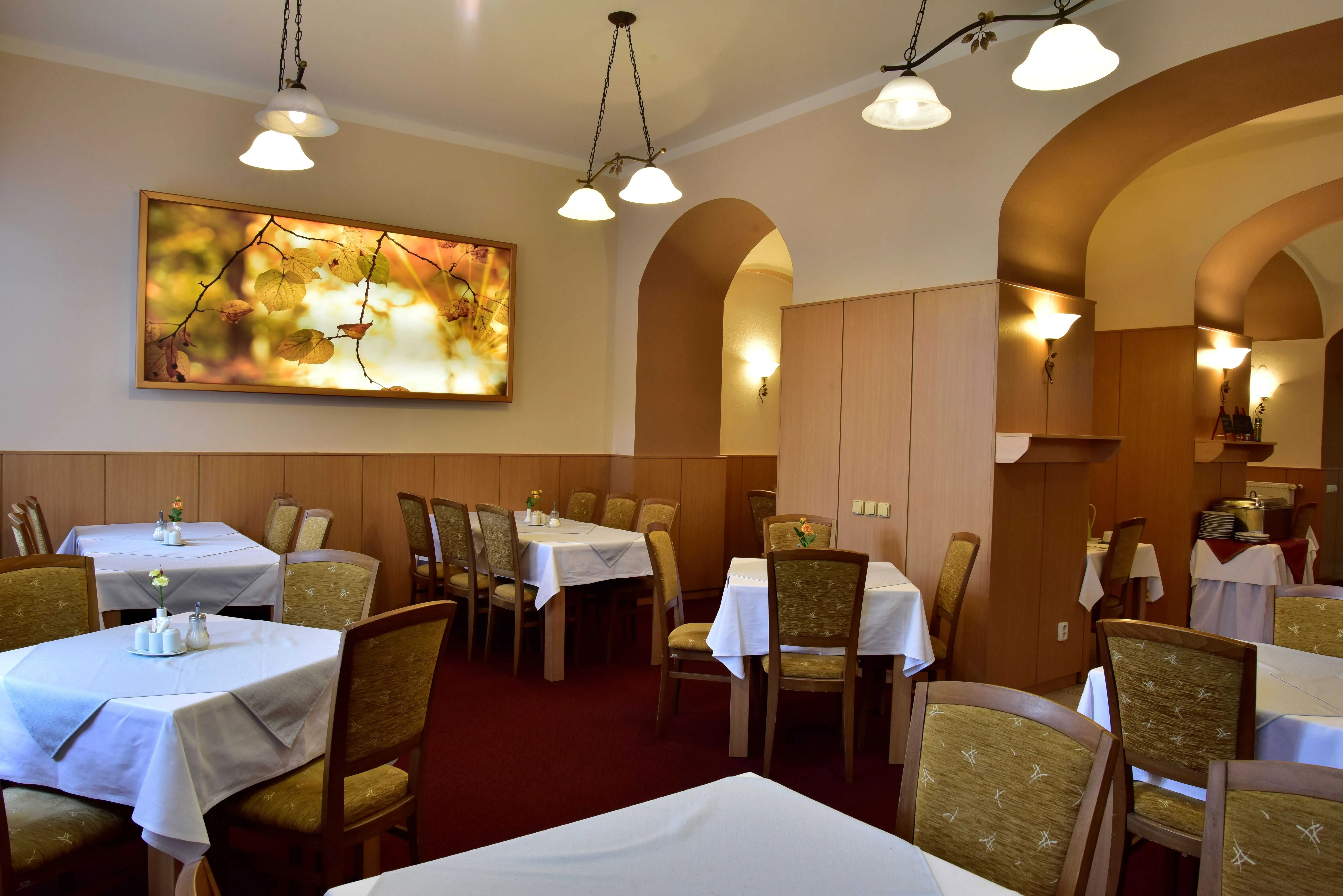 Hotel Paris Mariánské Lázně - foto 9