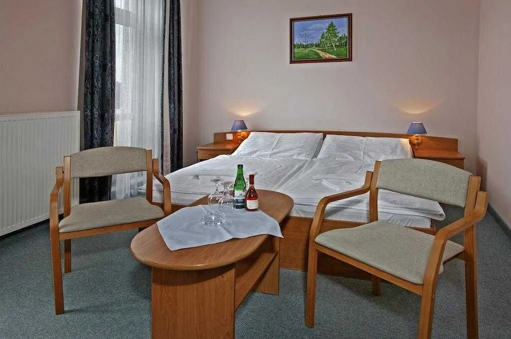 Hotel Paris Mariánské Lázně - foto 5