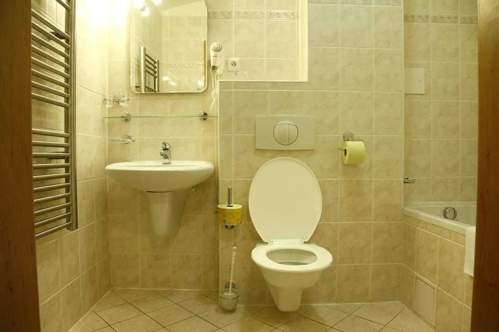 Hotel Paris Mariánské Lázně - foto 6