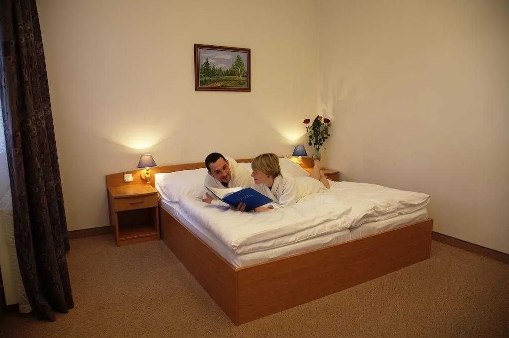Hotel Paris Mariánské Lázně - foto 3