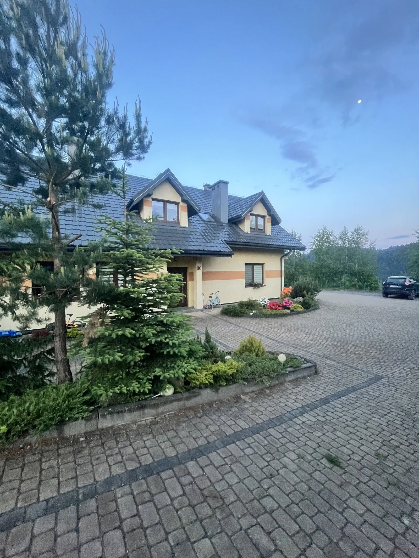 Brzozowe Wzgórze Wołkowyja – Wołkowyja, Polska