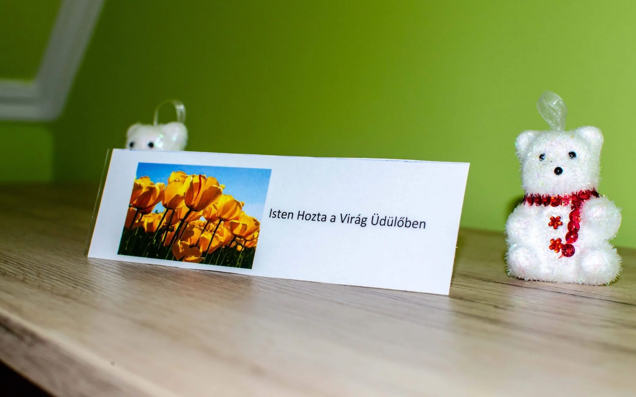 Virág Üdülőház Szarvas - foto 8