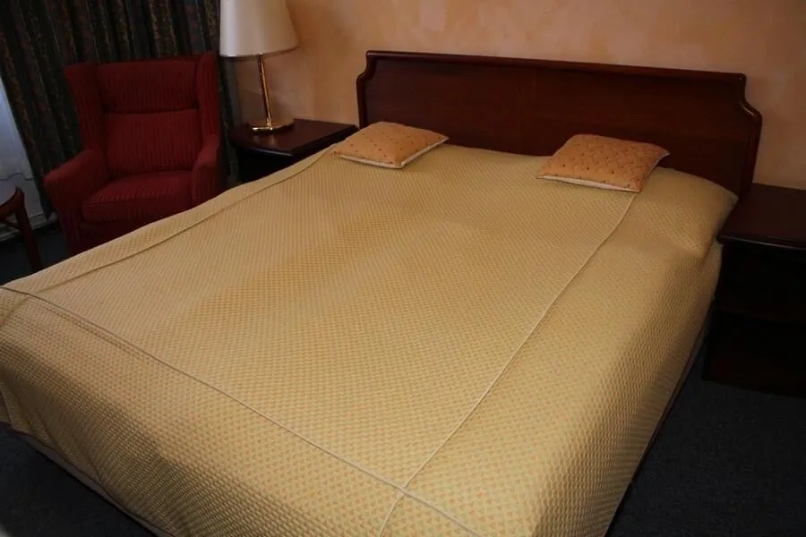 Hotel Alfacentrum Valašské Klobouky – Valašské Klobouky, Republica Cehă