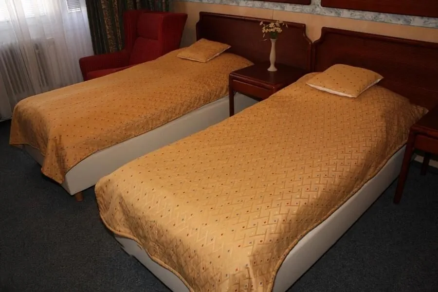 Hotel Alfacentrum Valašské Klobouky – Valašské Klobouky, Republica Cehă