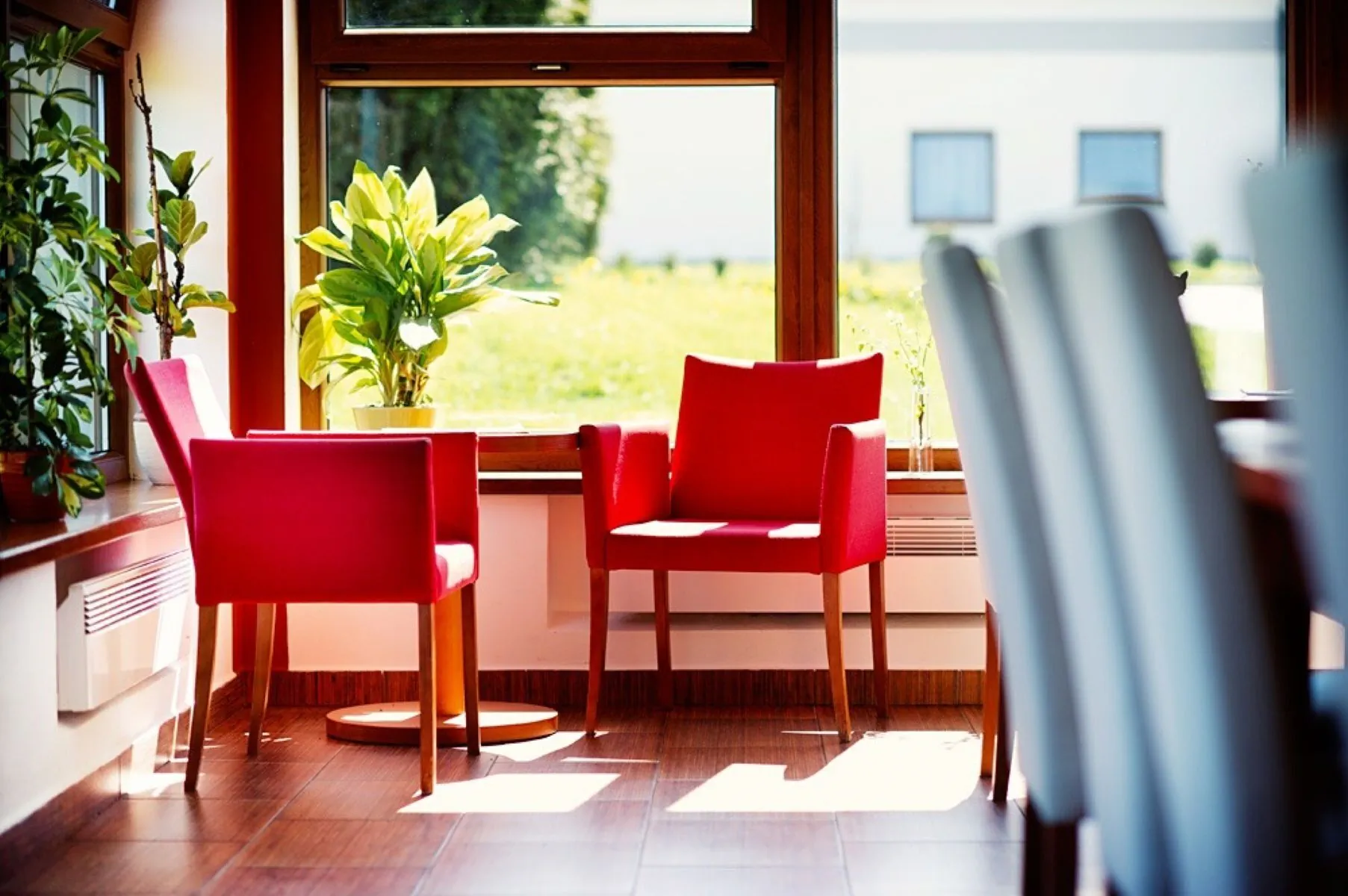 Hotel FARMA Pelhřimov - foto 10