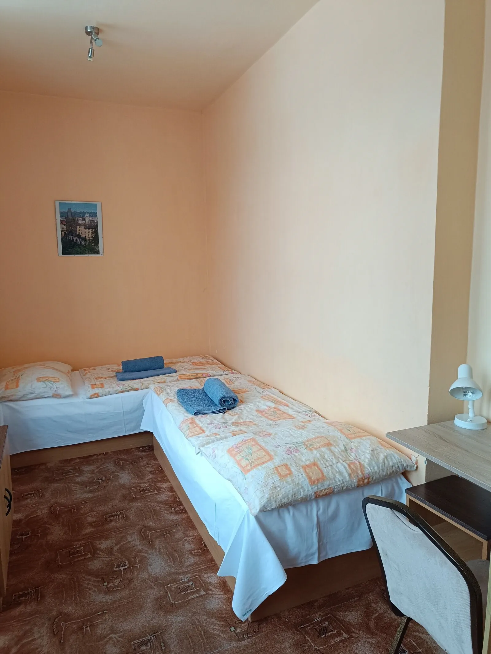 Hotel Avion Prostějov - foto 10