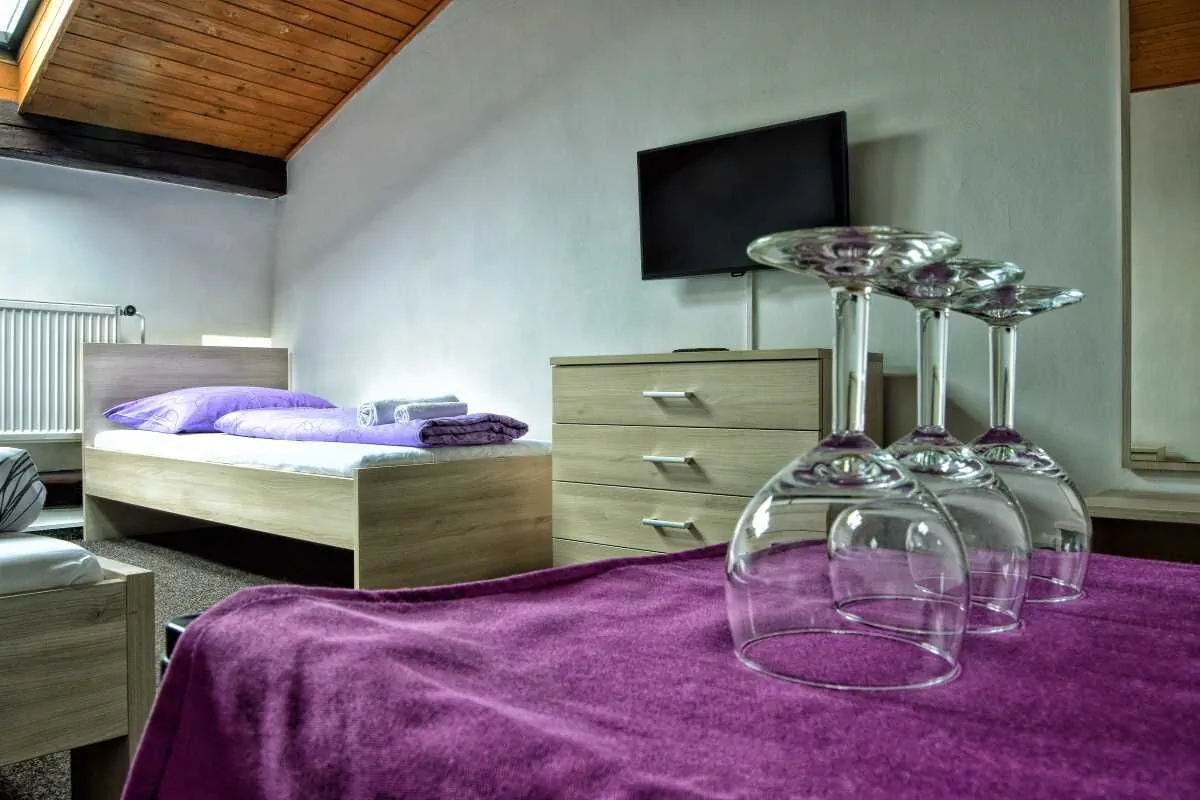 Hotel Přerov Frenštát pod Radhoštěm – Frenštát pod Radhoštěm, Republica Cehă