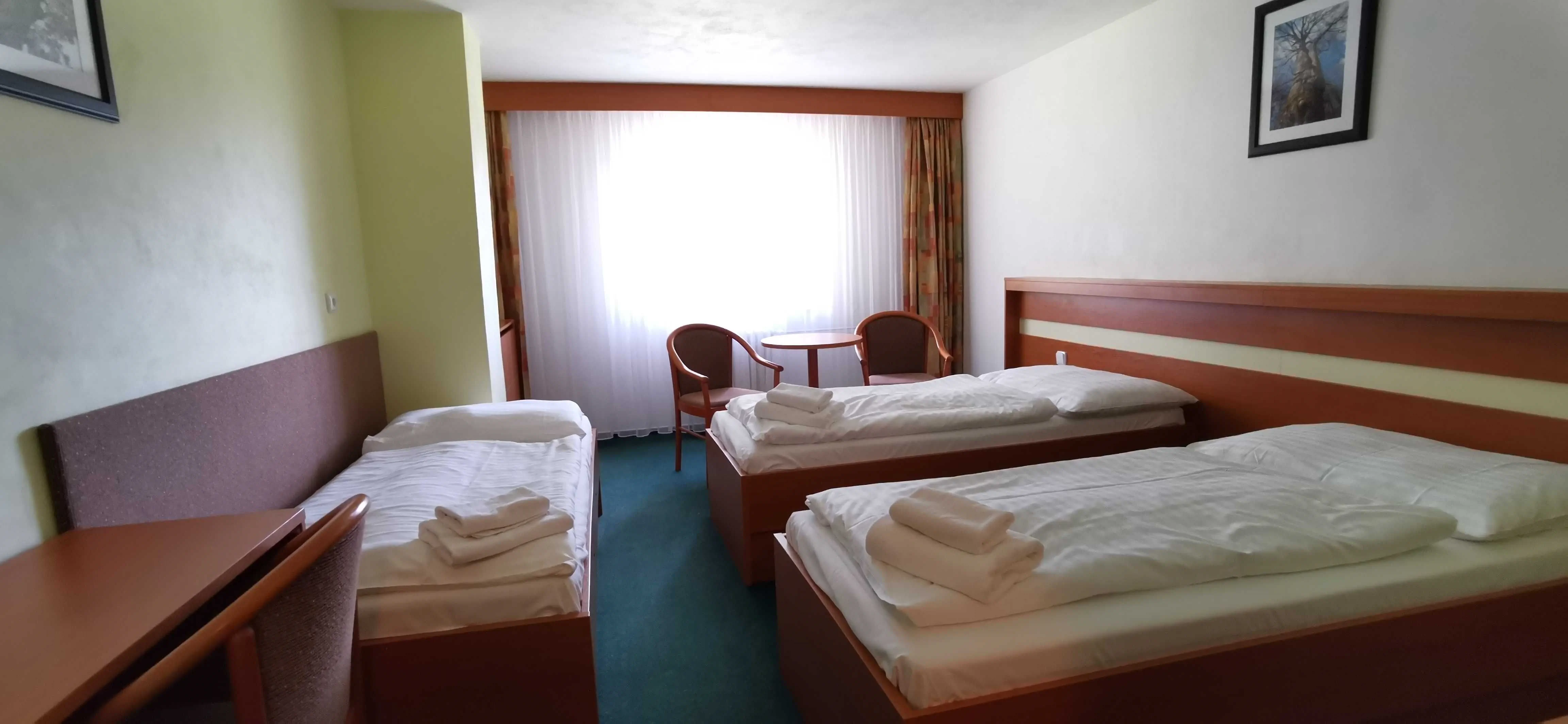 Hotel Svratka – Svratka, Česká republika