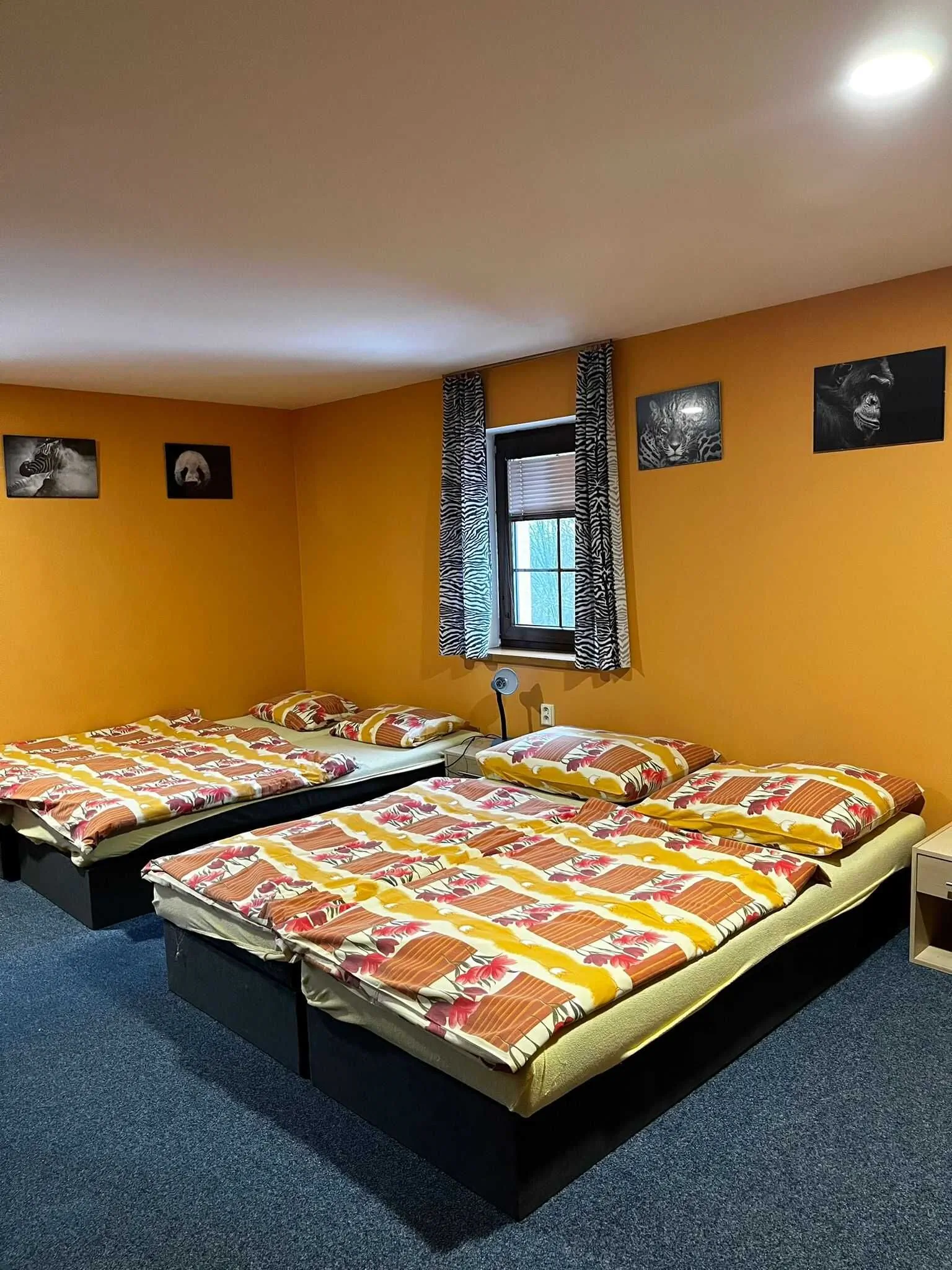 Penzion Červená Karkulka Smržovka – Smržovka, Republica Cehă