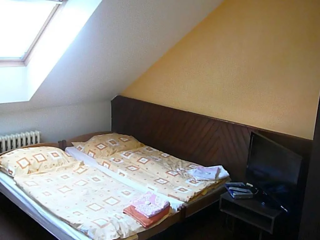 Restaurace a penzion U Vítovců Sušice - foto 6