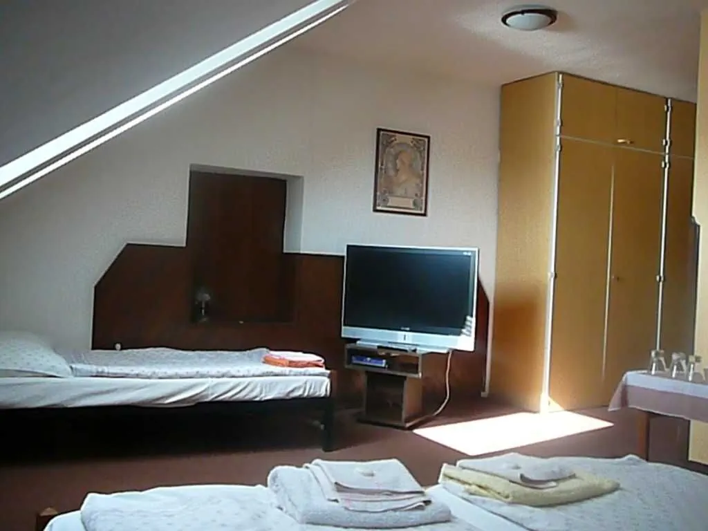 Restaurace a penzion U Vítovců Sušice - foto 7
