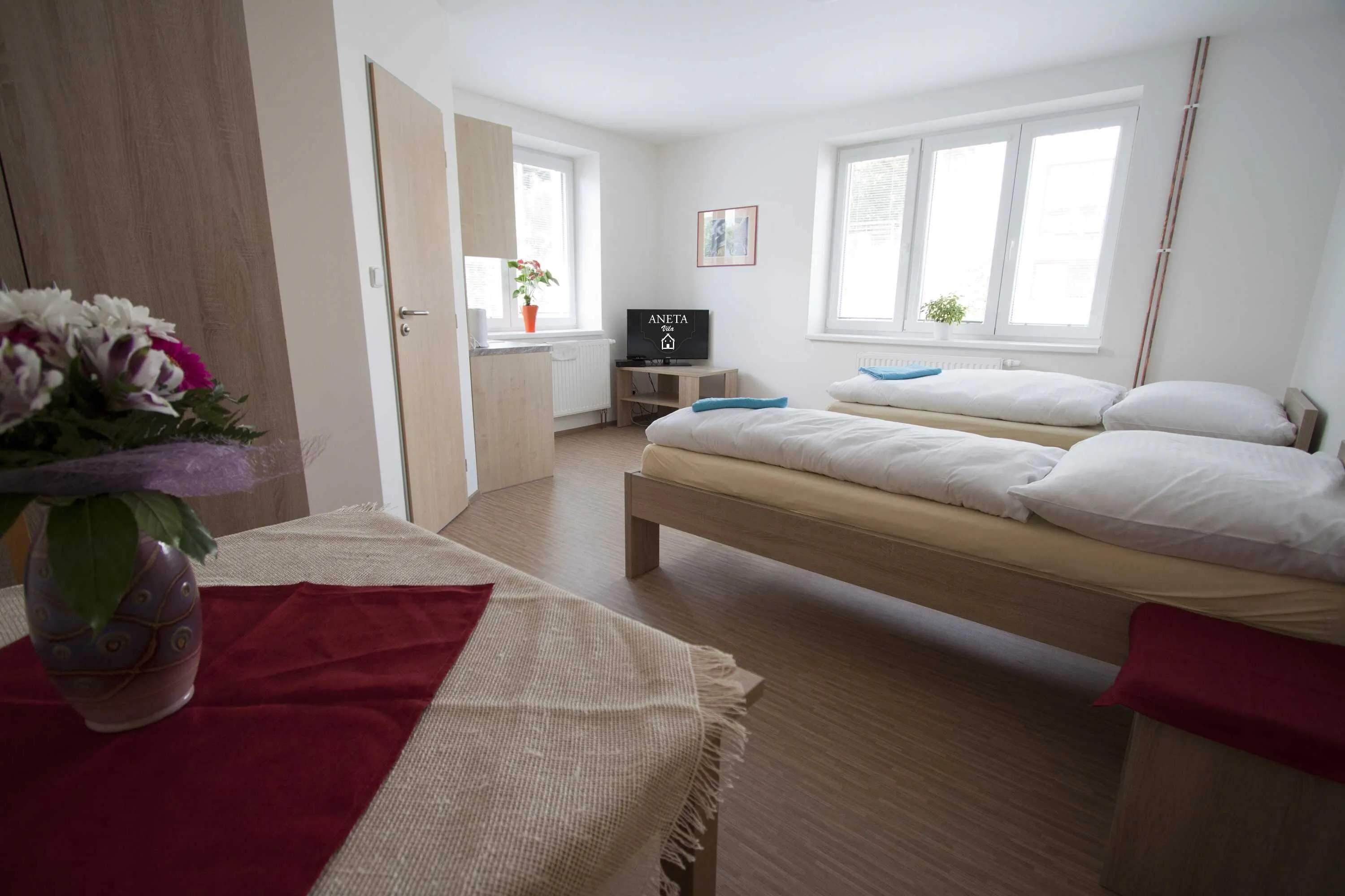 Vila Aneta Luhačovice – Luhačovice, Republica Cehă